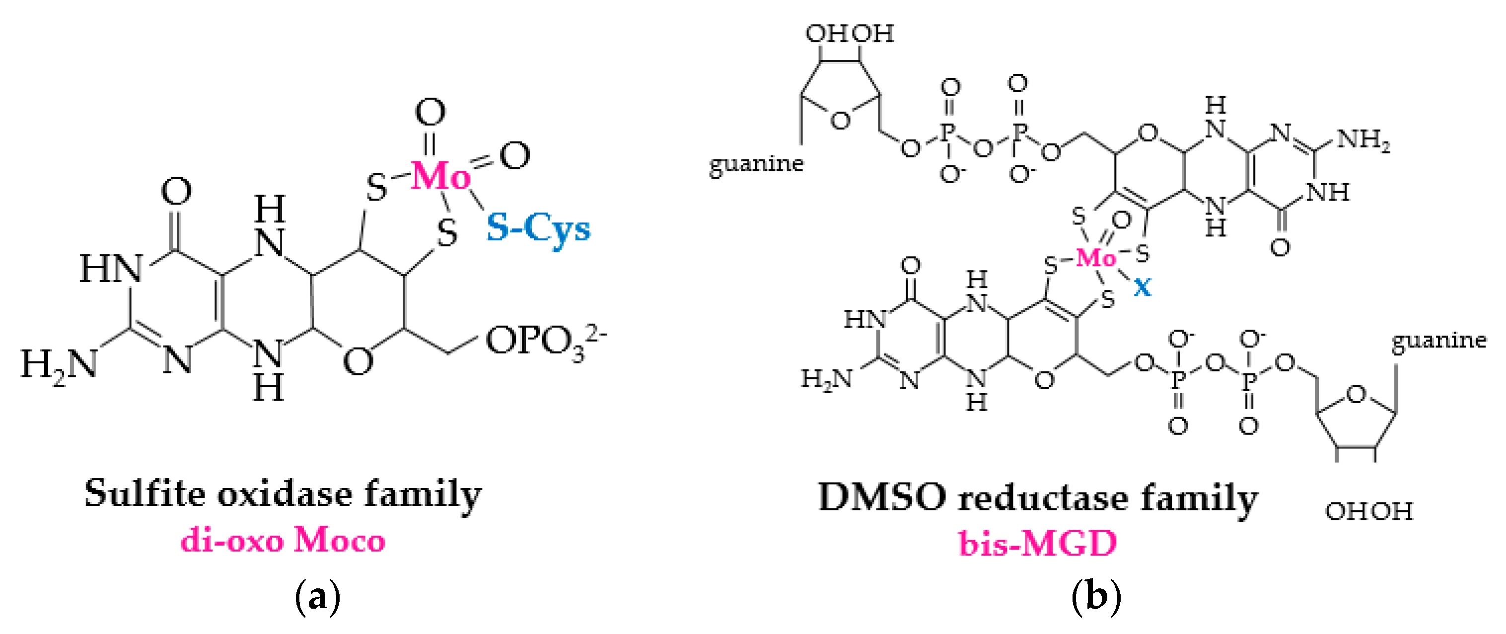 Antioxidants 07 00124 g003 Antioxidants 07 00124 g003