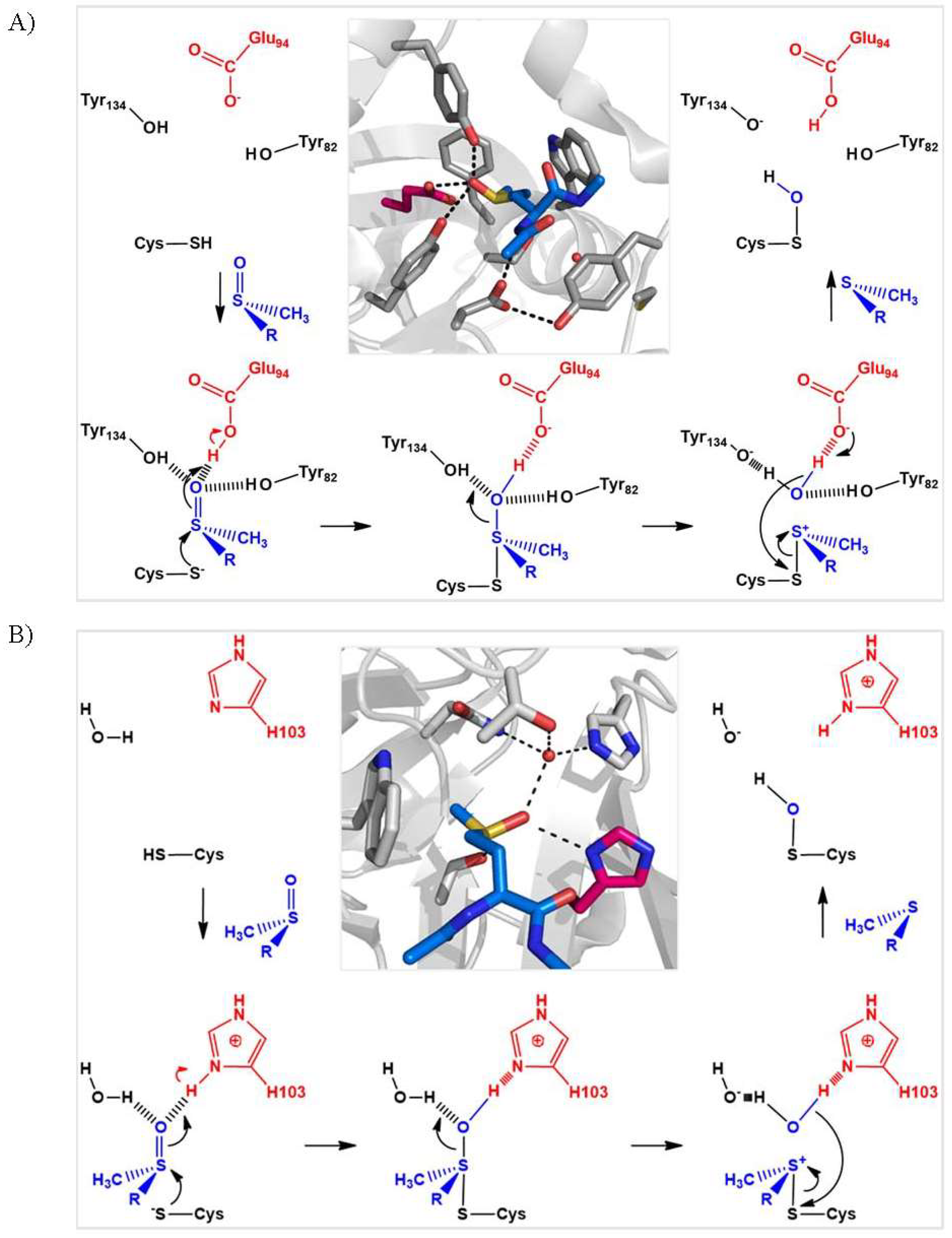 Antioxidants 07 00131 g004