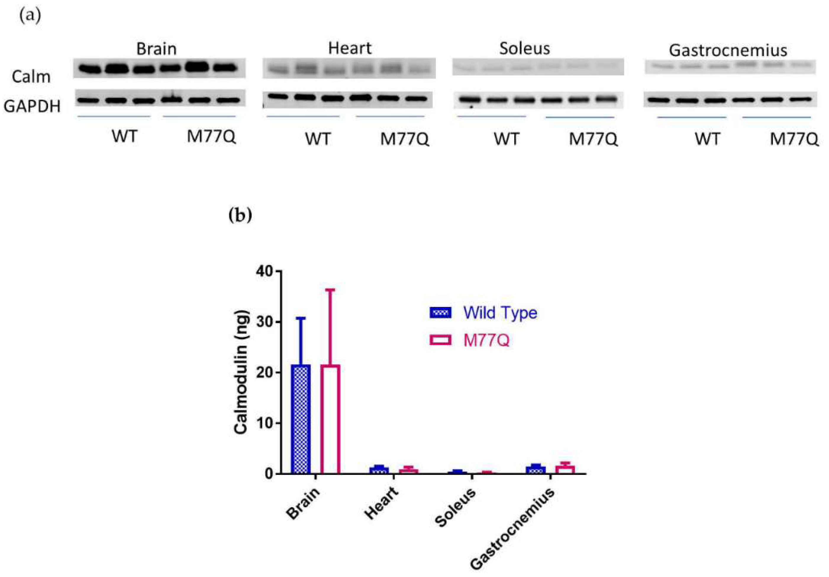 Antioxidants 07 00140 g002 Antioxidants 07 00140 g002