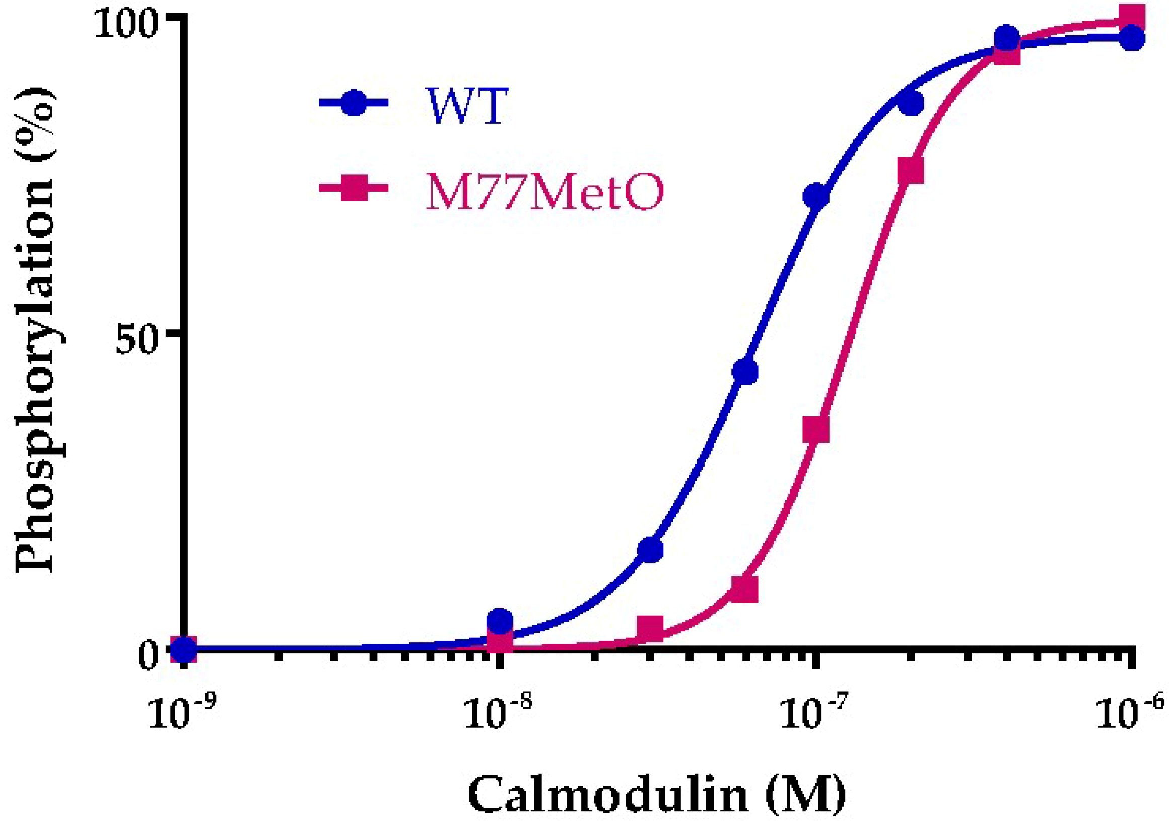 Antioxidants 07 00140 g013 Antioxidants 07 00140 g013