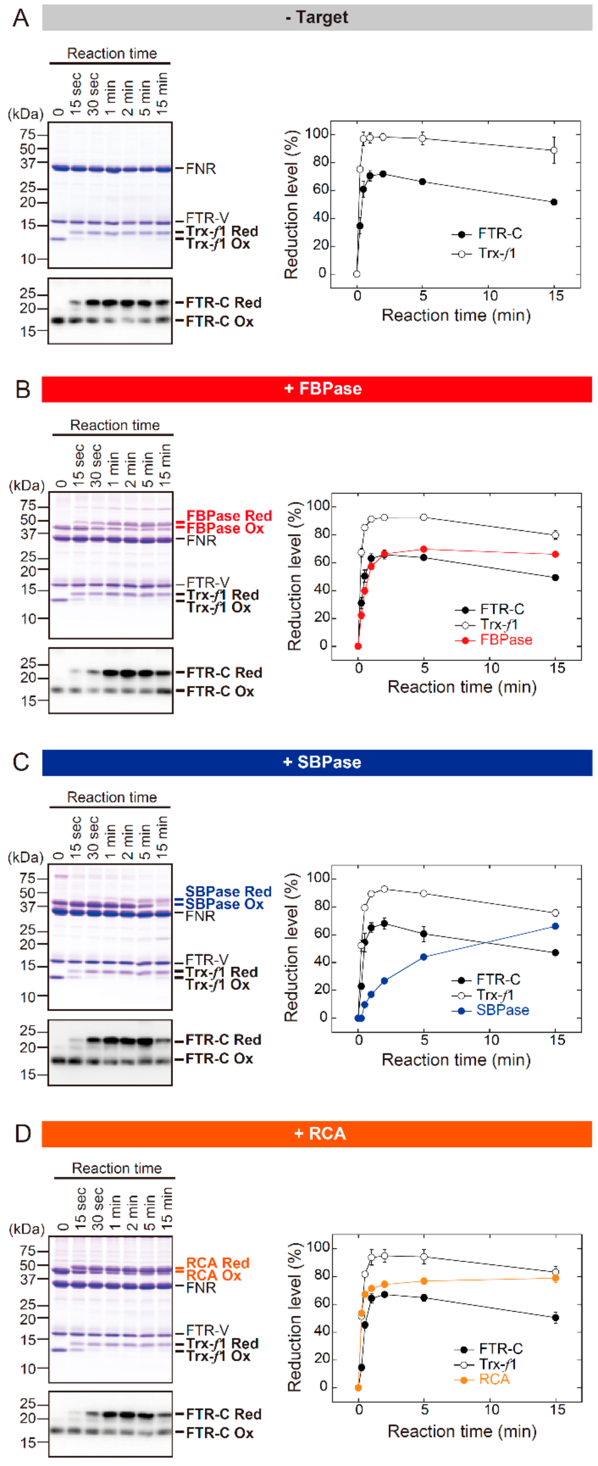 Antioxidants 07 00153 g001 550