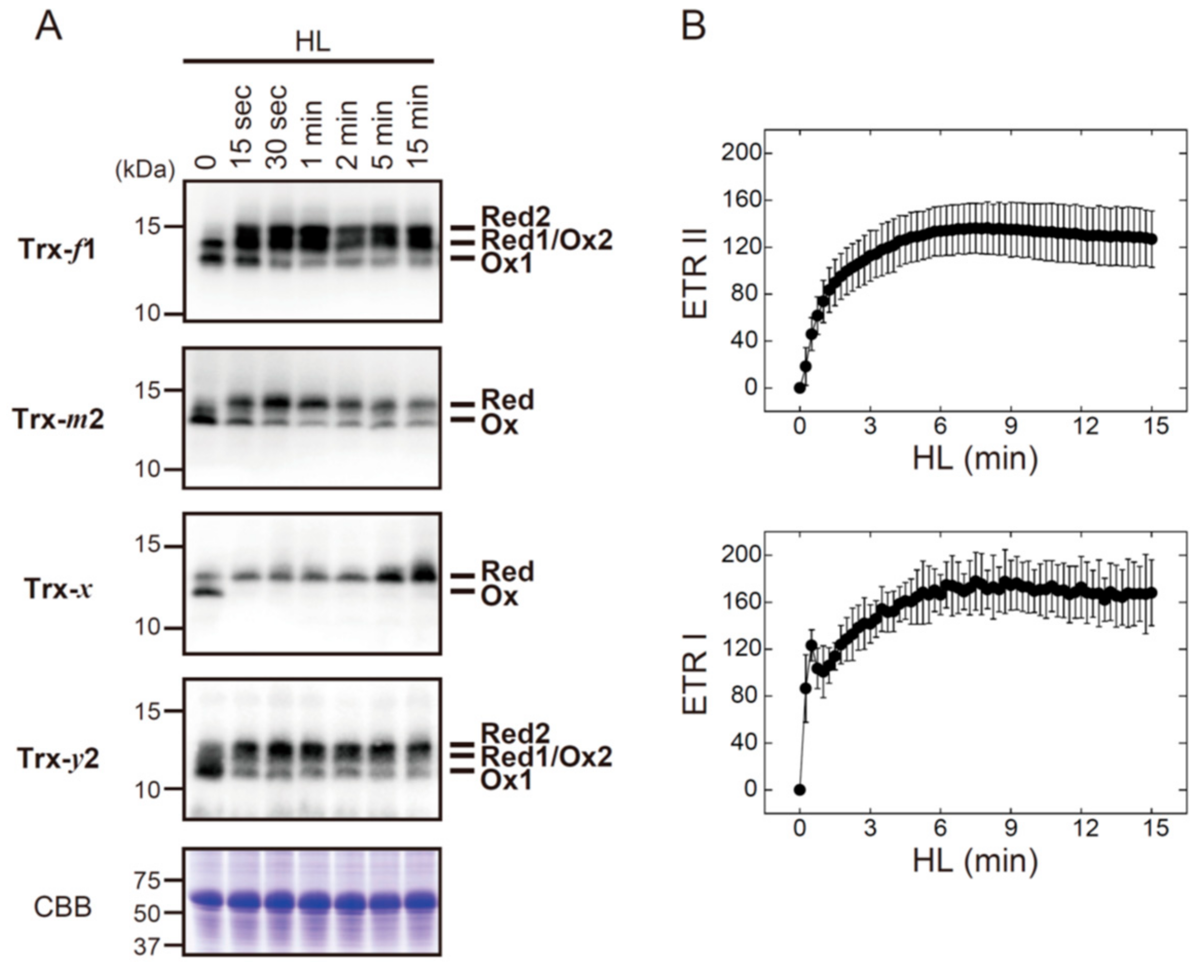 Antioxidants 07 00153 g002 550