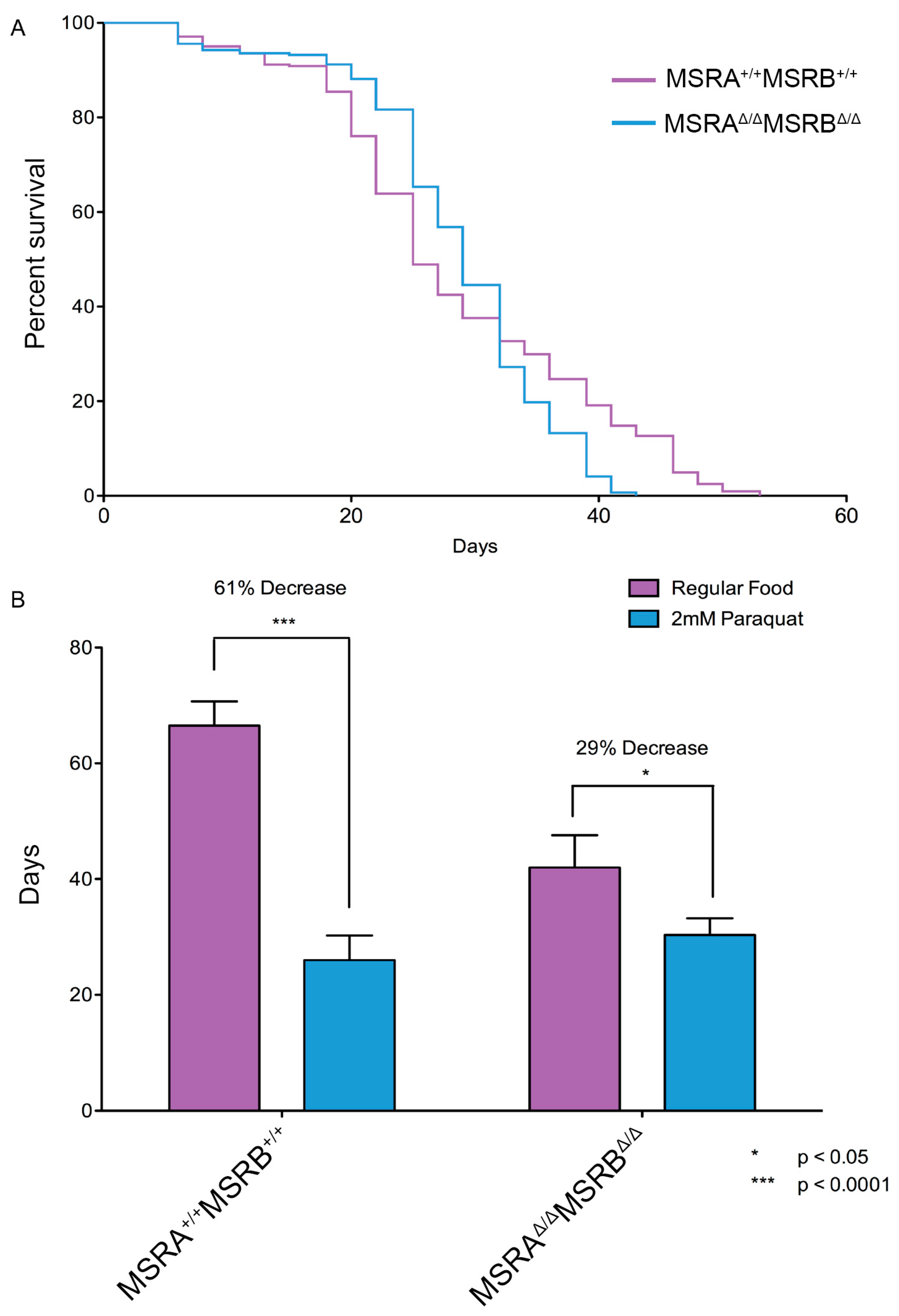 Antioxidants 07 00155 g005 Antioxidants 07 00155 g005