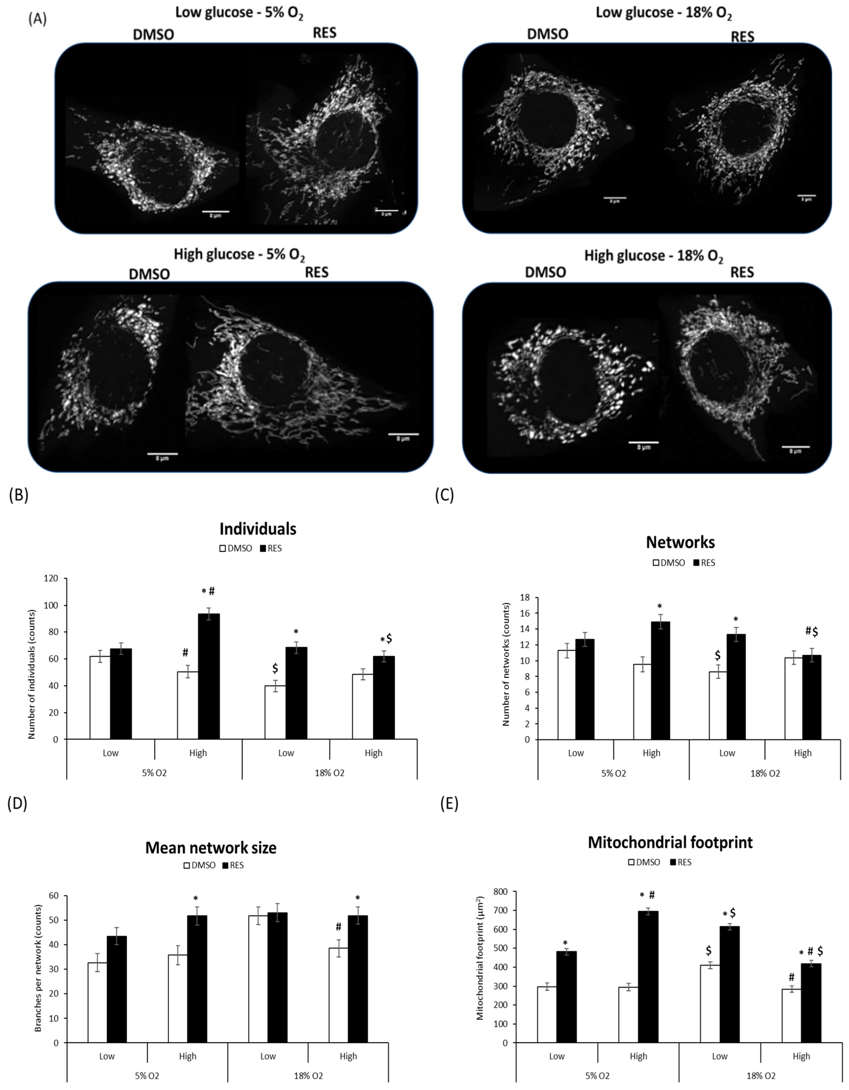 Antioxidants 07 00157 g003