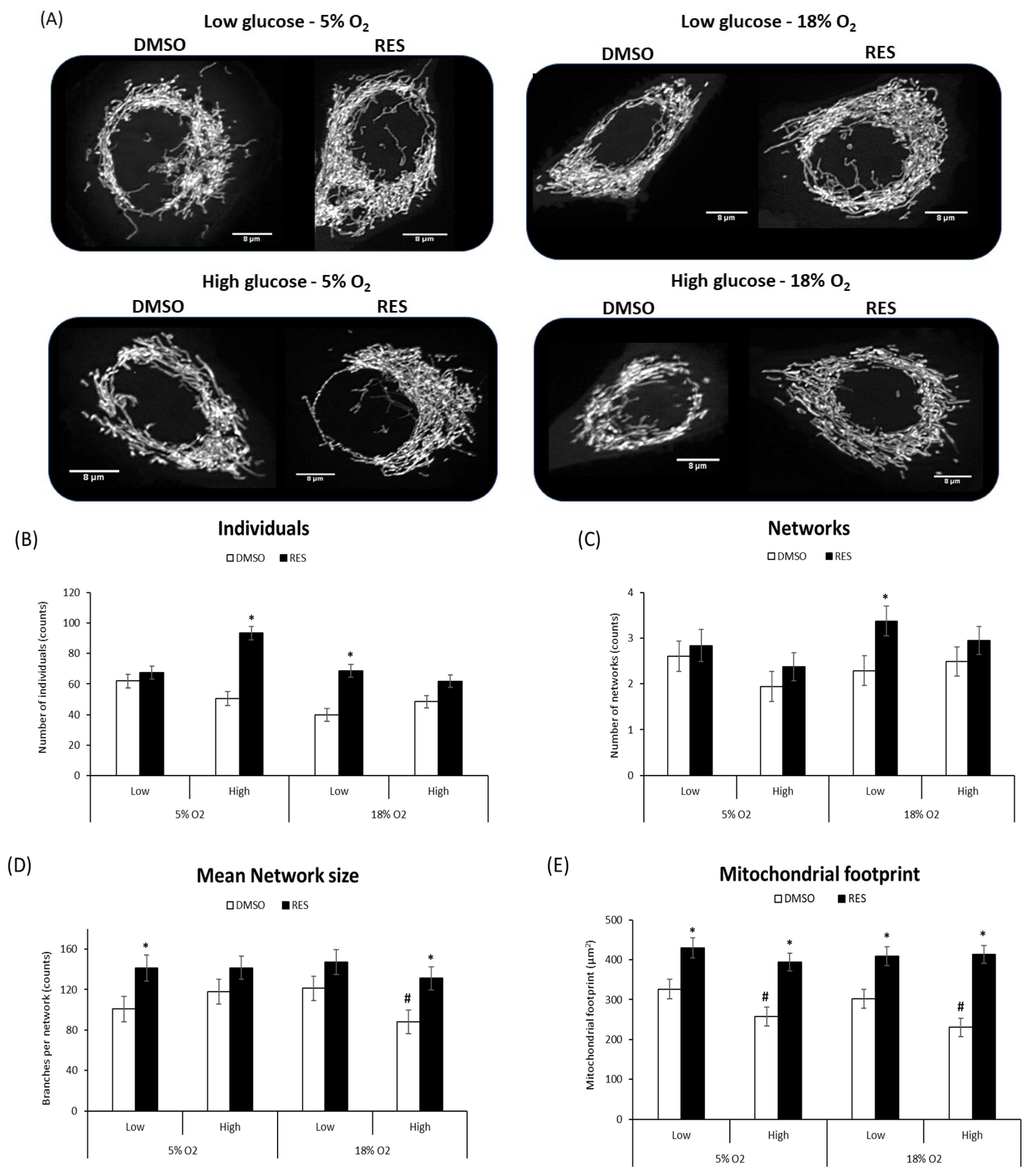 Antioxidants 07 00157 g004