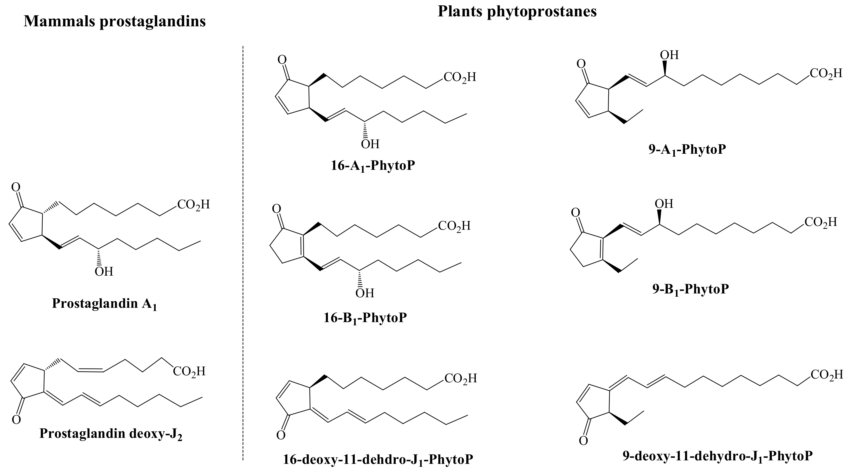 Antioxidants 07 00165 g003