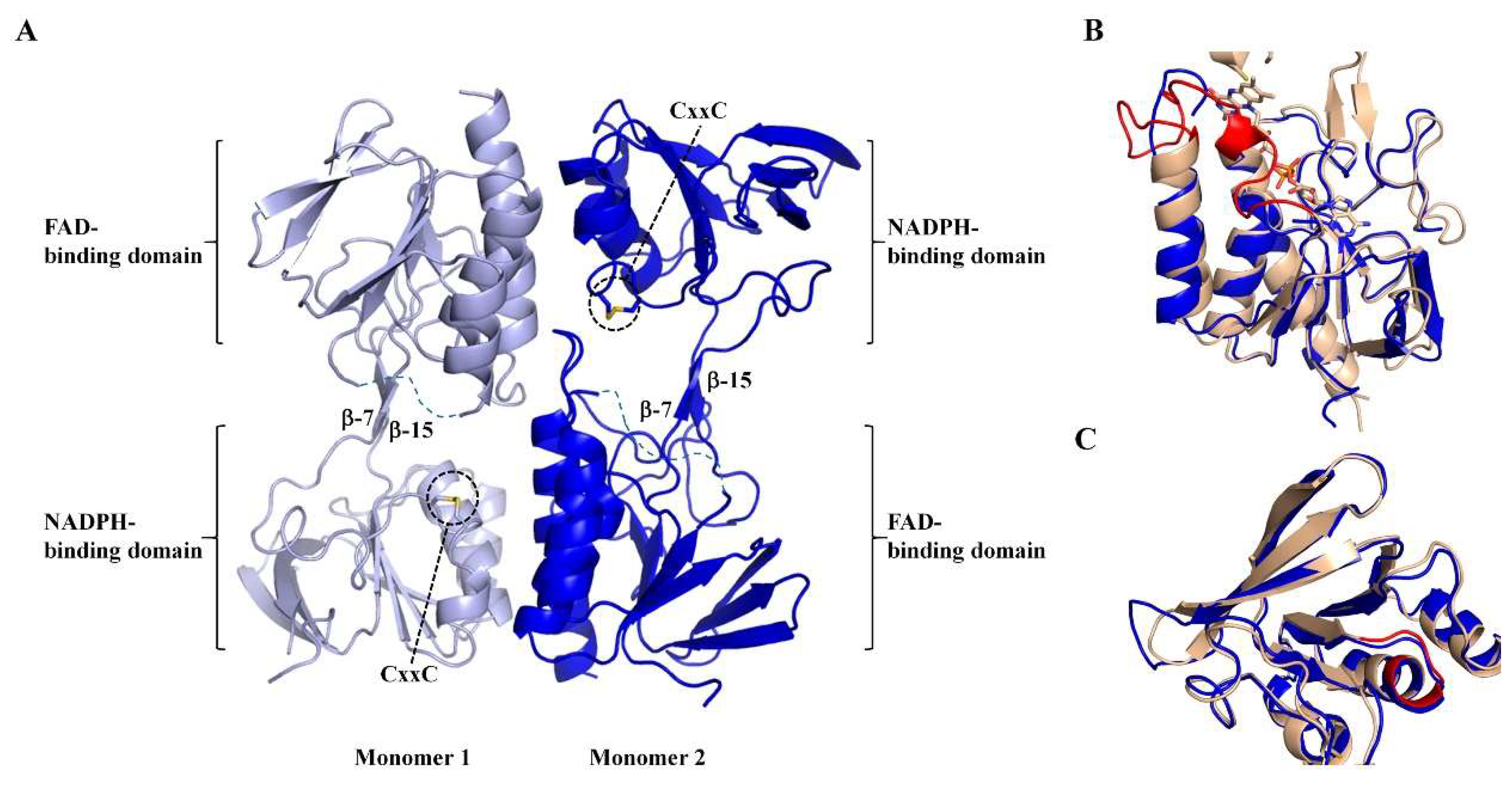 Antioxidants 07 00166 g003