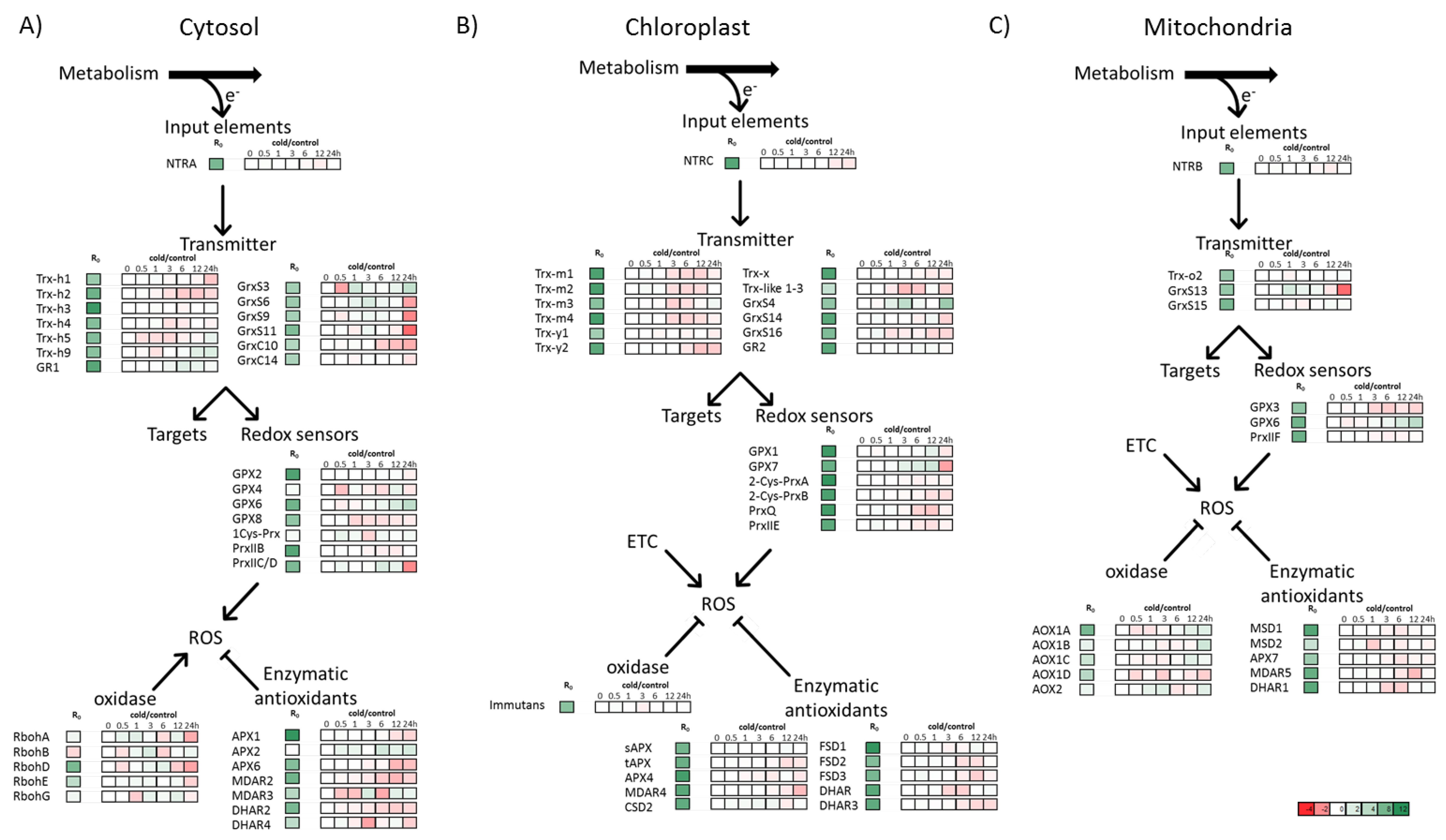 Antioxidants 07 00169 g002