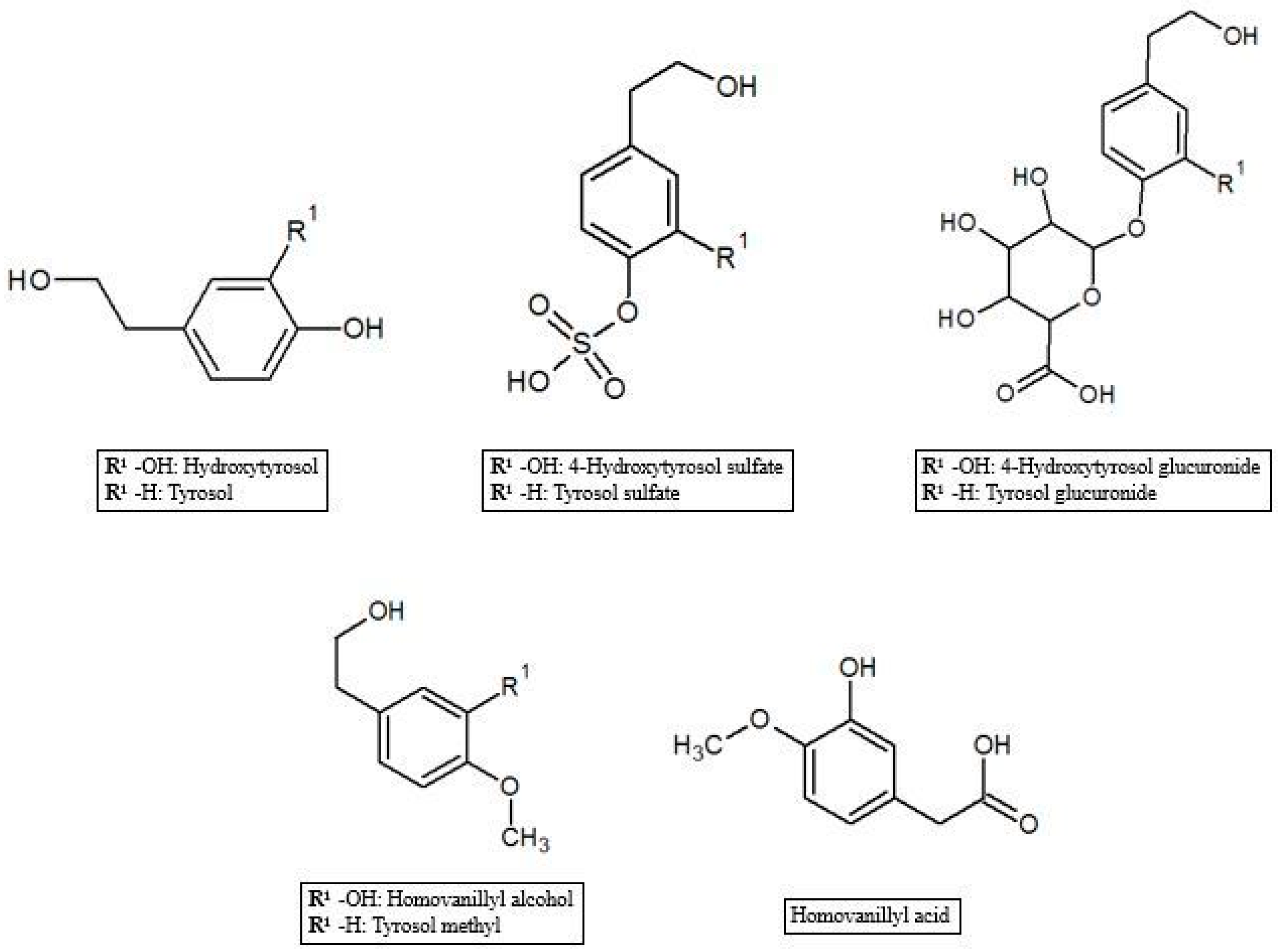 Antioxidants 07 00170 g001 Antioxidants 07 00170 g001