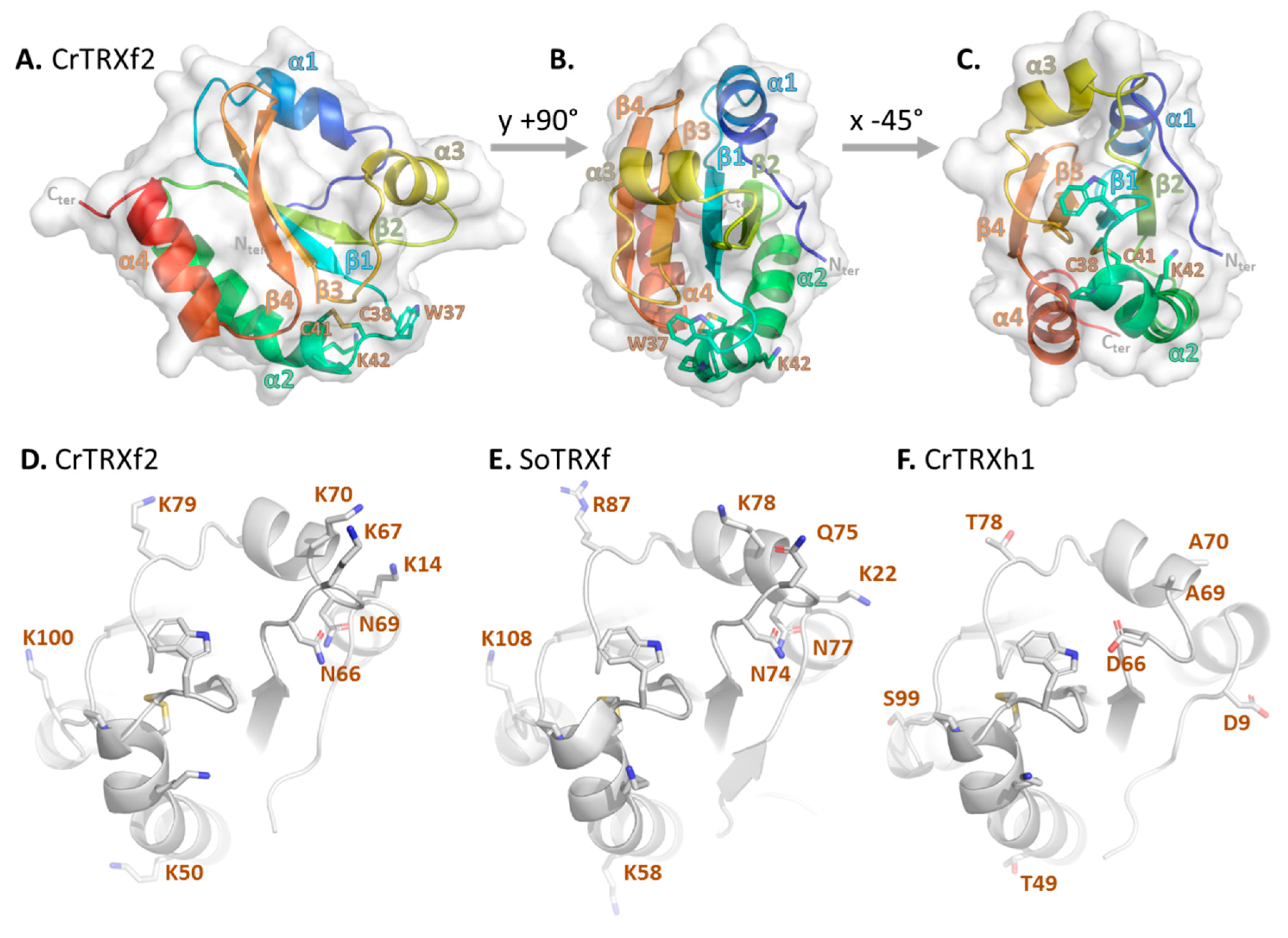 Antioxidants 07 00171 g002 Antioxidants 07 00171 g002