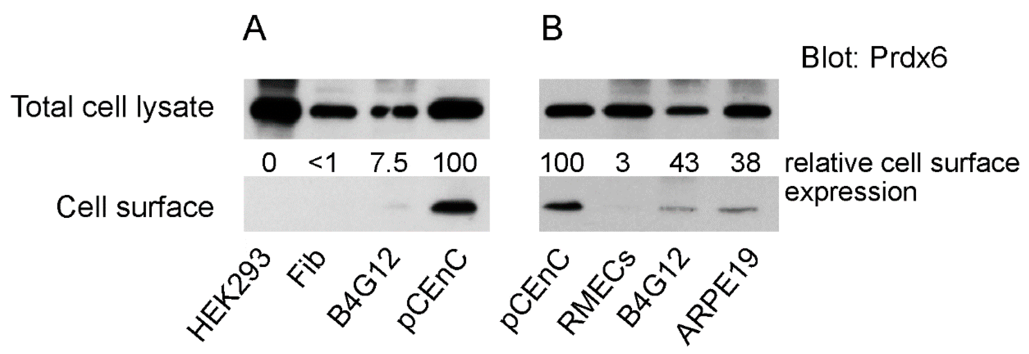Antioxidants 07 00180 g001