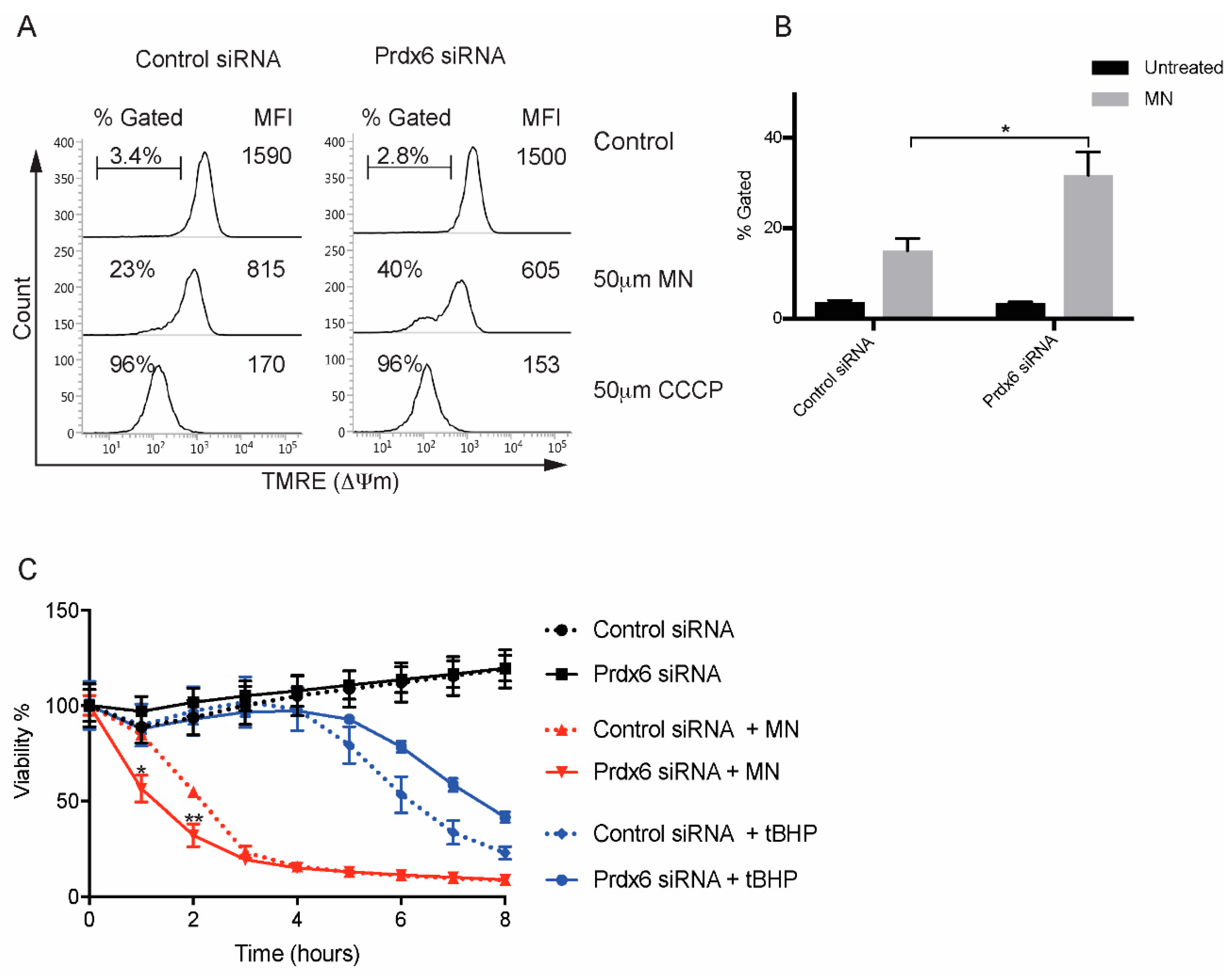 Antioxidants 07 00180 g005