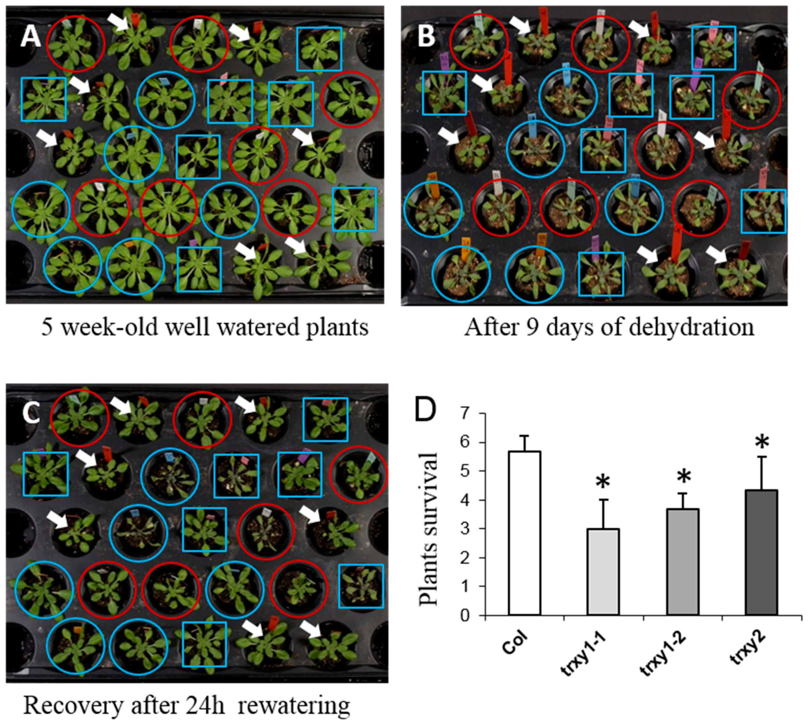 Antioxidants 07 00183 g001 Antioxidants 07 00183 g001