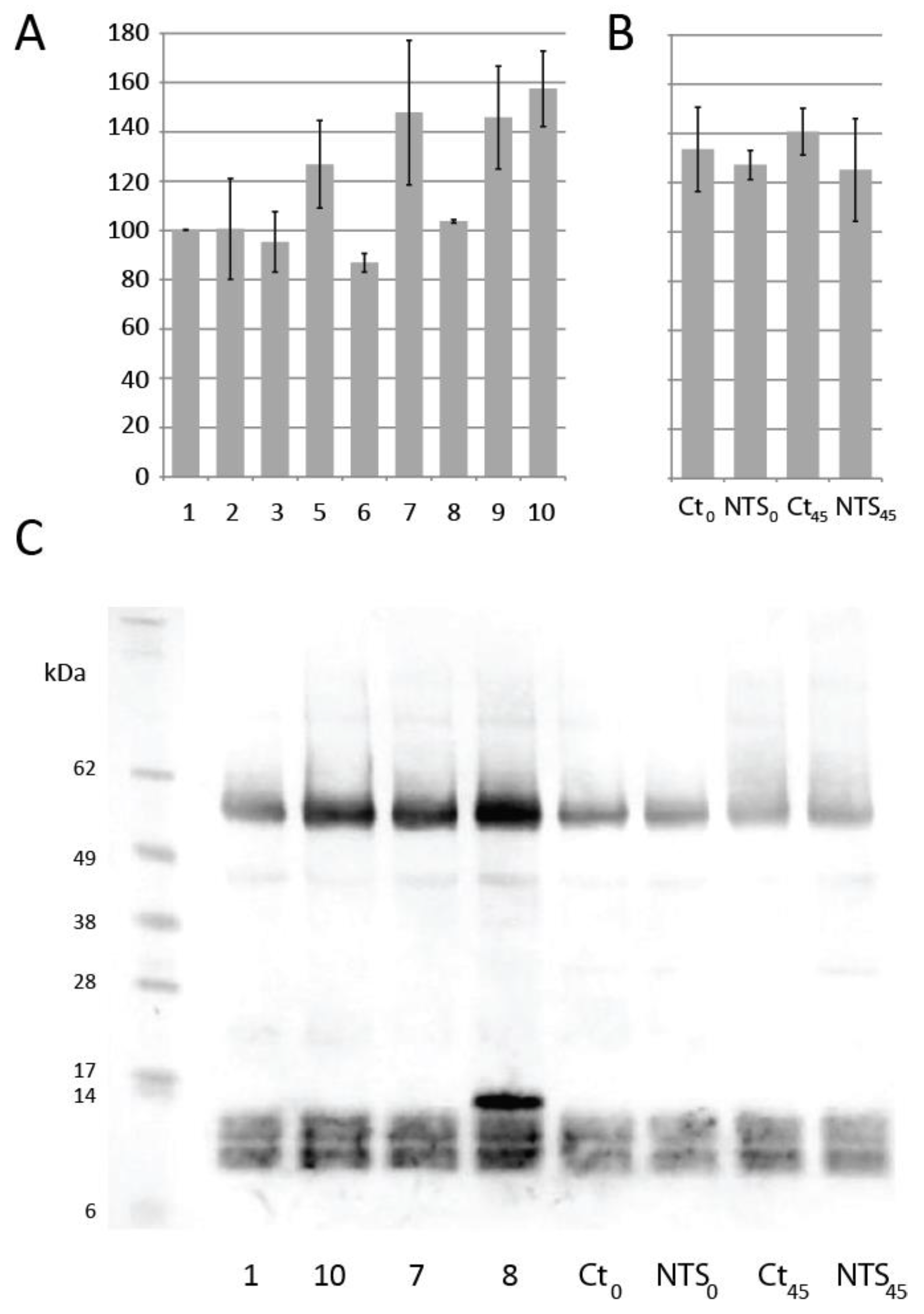 Antioxidants 07 00190 g004 Antioxidants 07 00190 g004