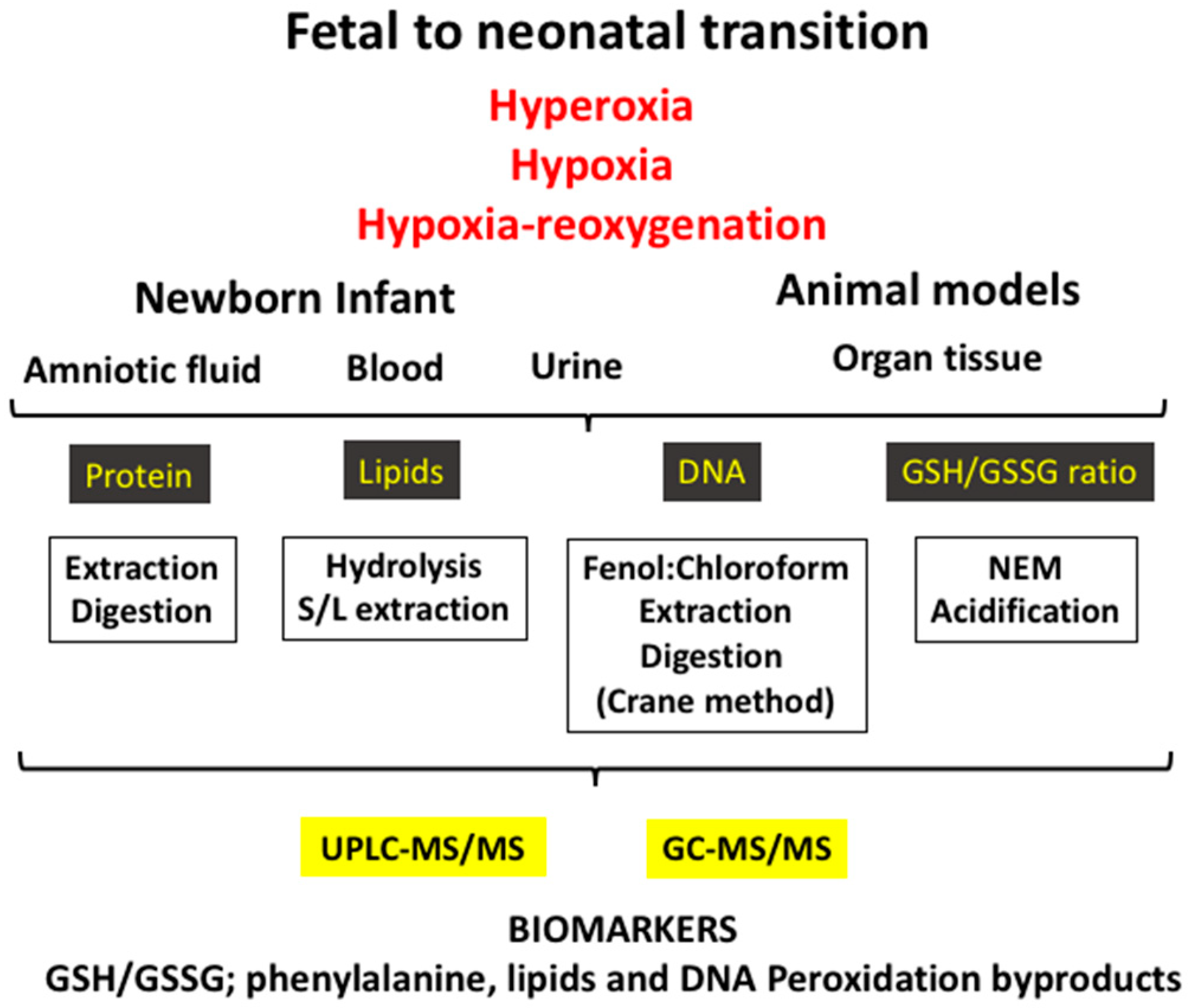 Antioxidants 07 00193 g002 Antioxidants 07 00193 g002