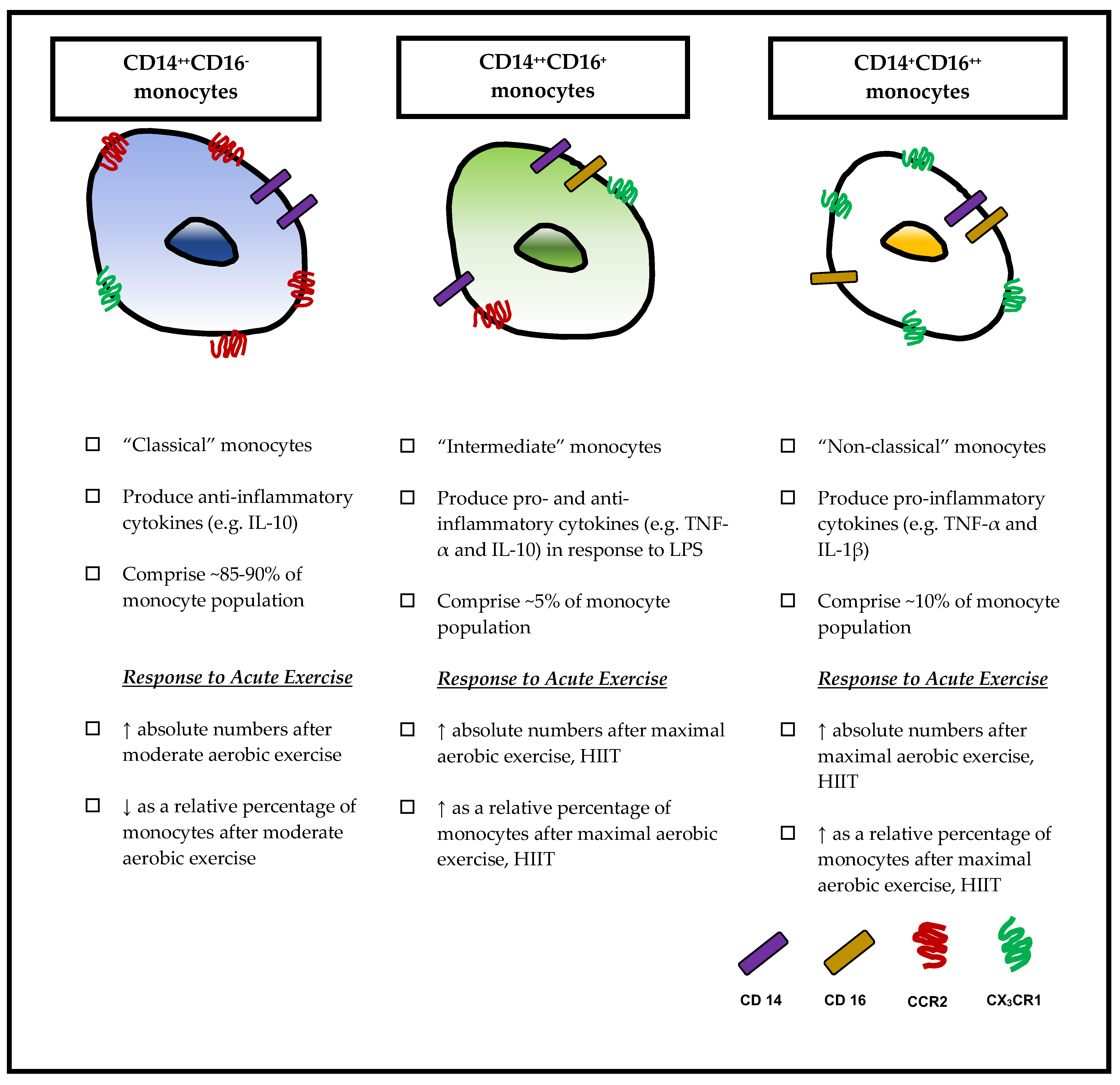 Antioxidants 07 00196 g001 Antioxidants 07 00196 g001