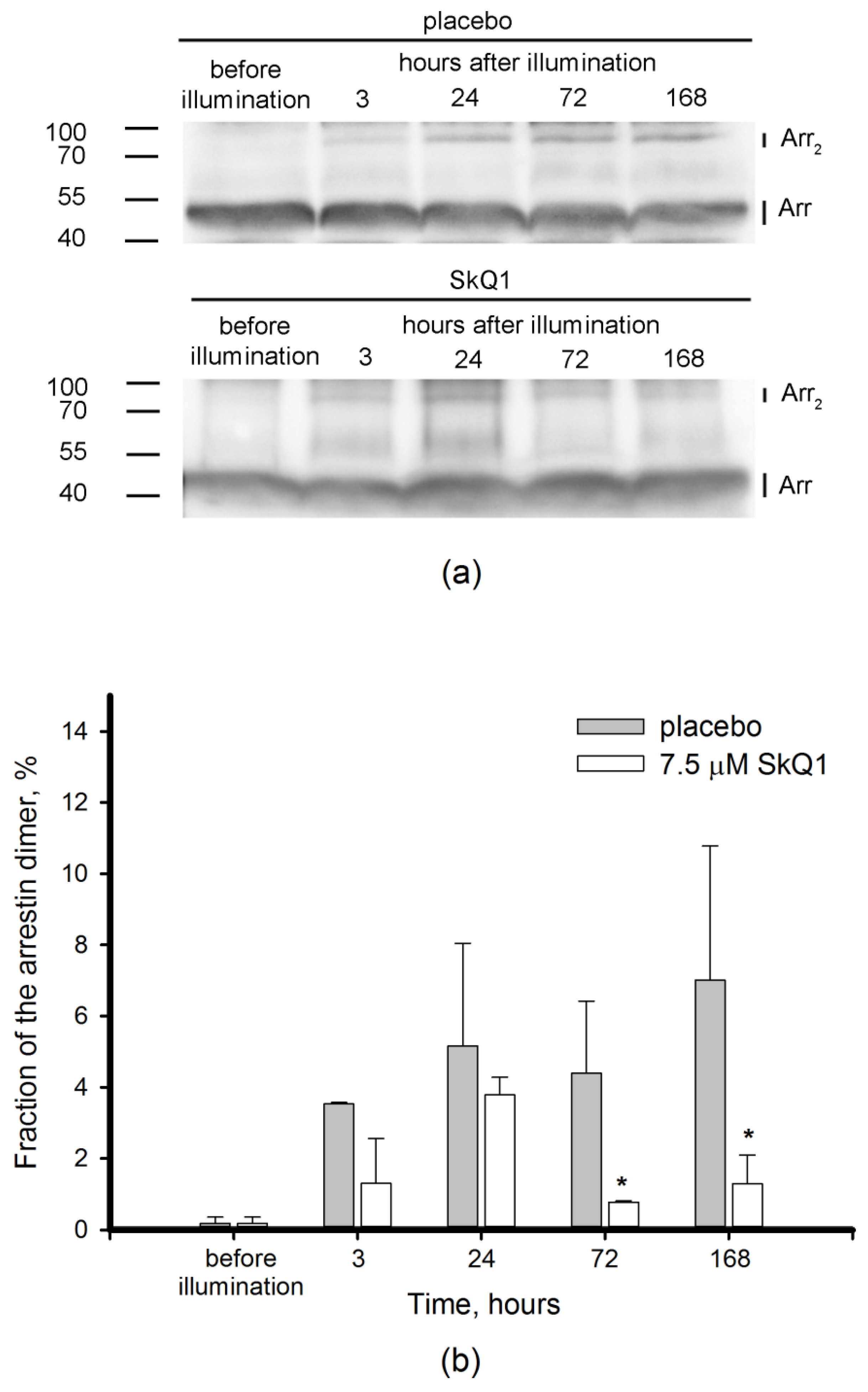 Antioxidants 08 00003 g006