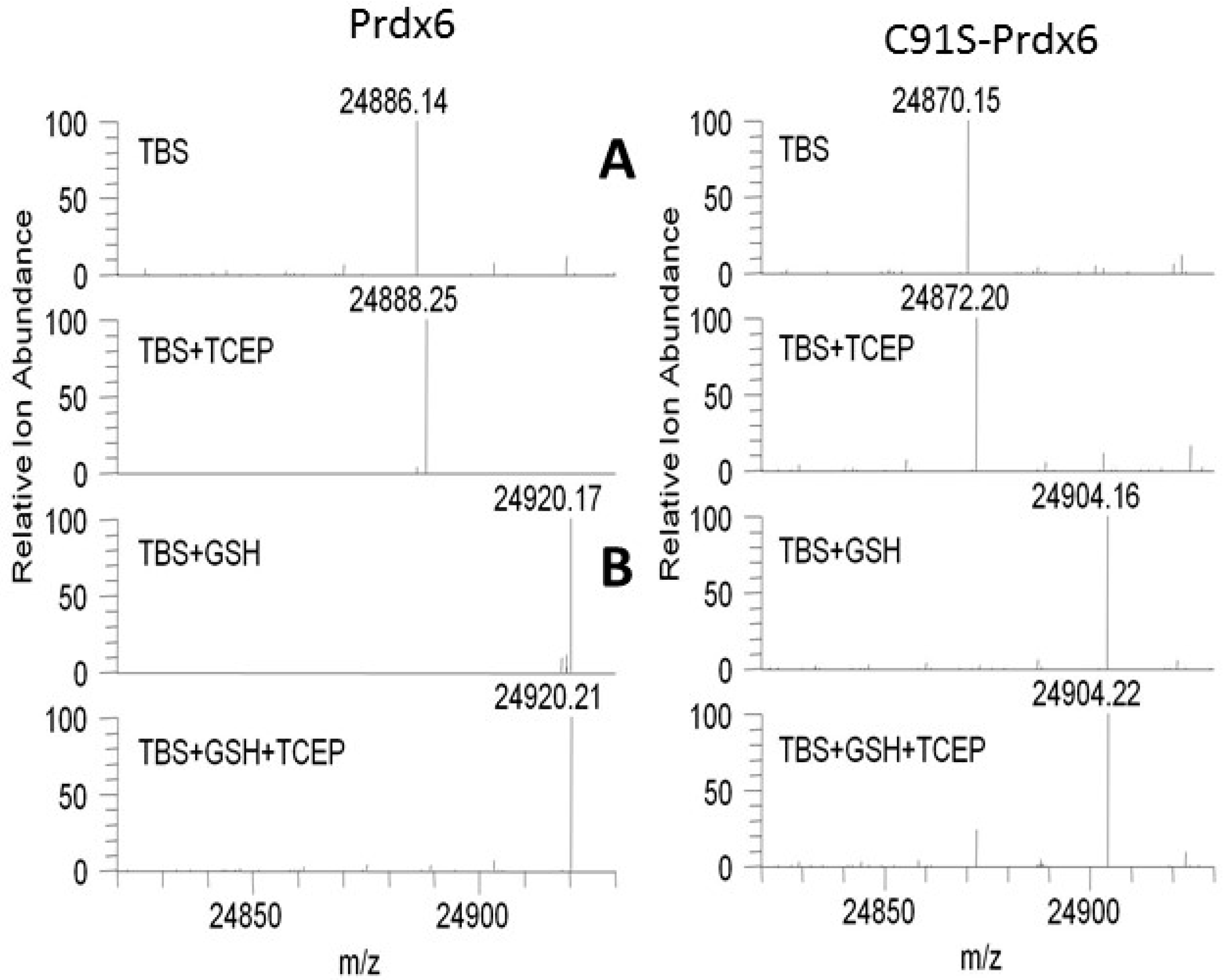 Antioxidants 08 00004 g002 Antioxidants 08 00004 g002