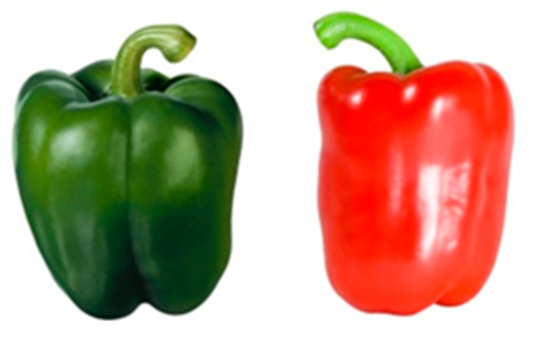 Antioxidants 08 00009 g001 Antioxidants 08 00009 g001