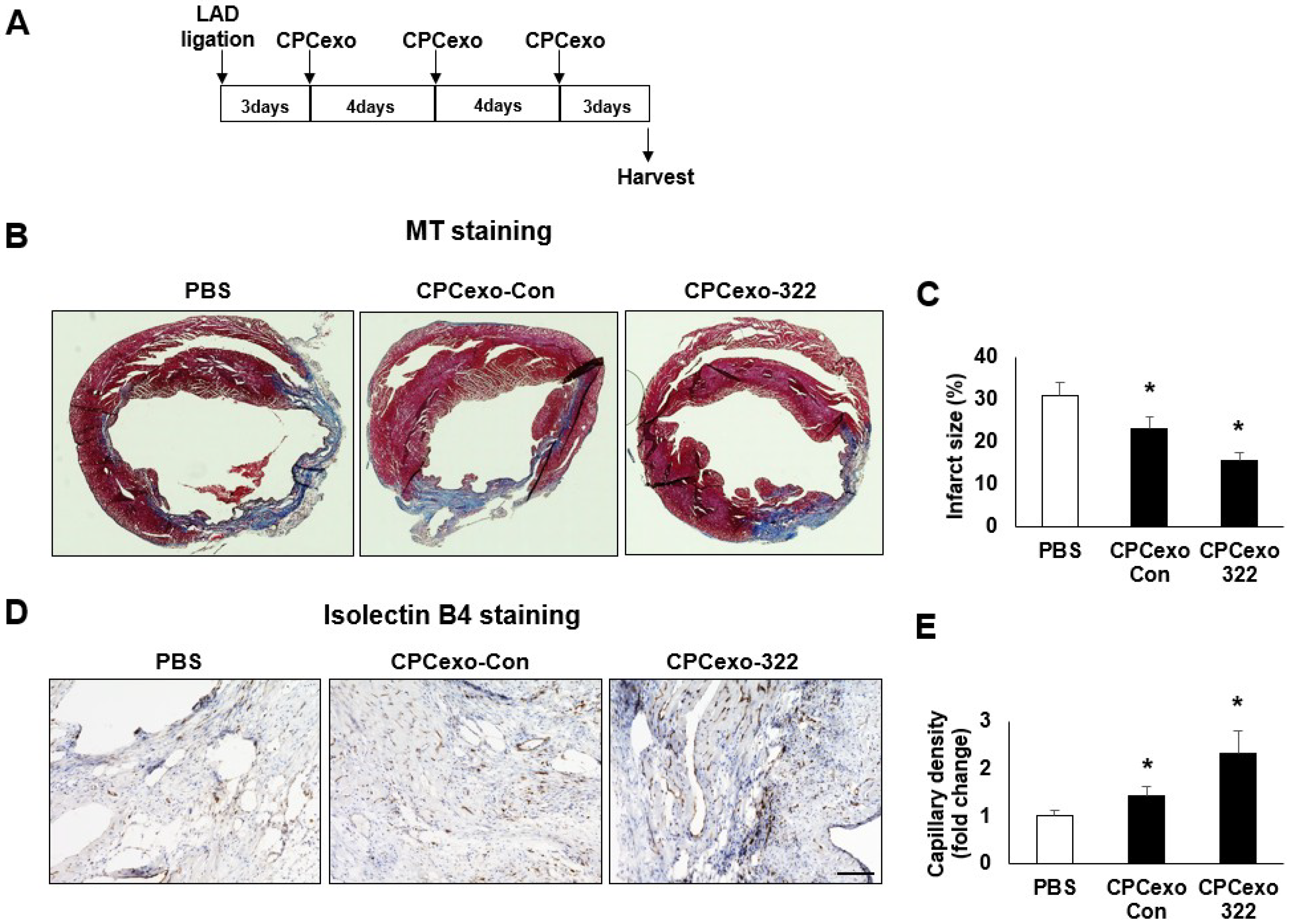 Antioxidants 08 00018 g003