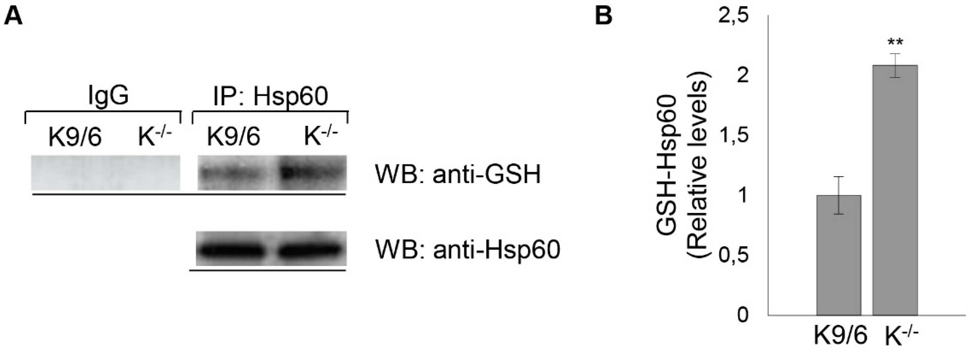 Antioxidants 08 00027 g006 Antioxidants 08 00027 g006