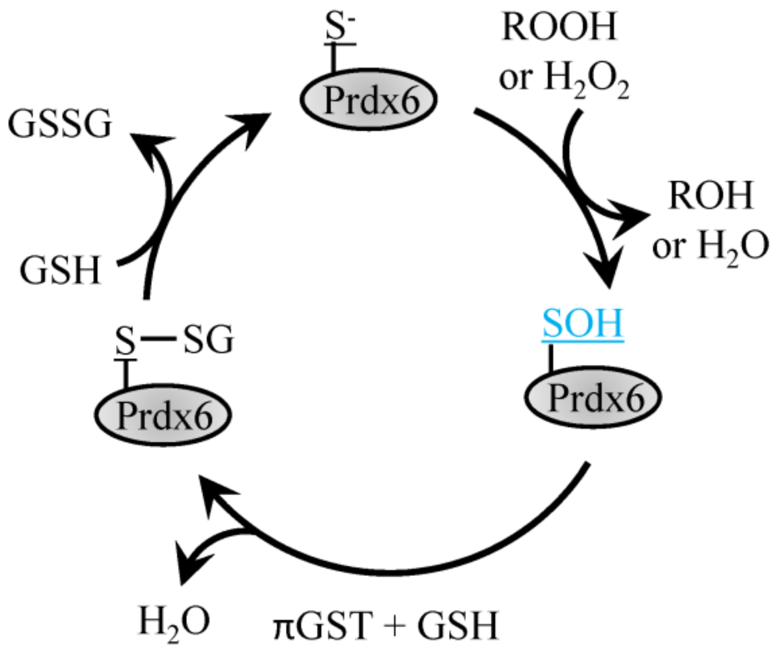 Signals Getting Crossed in the Entanglement of Redox and
