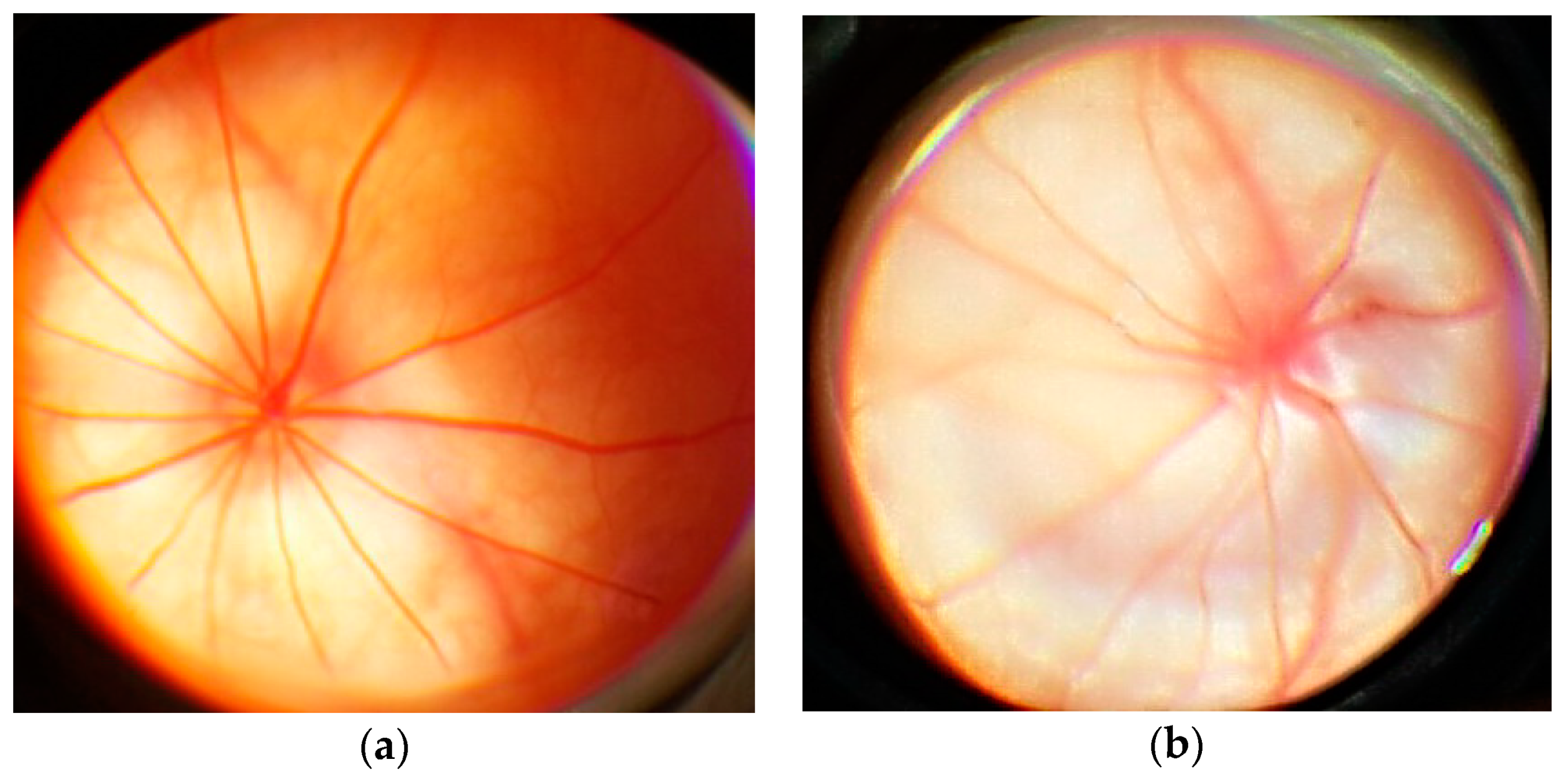 Antioxidants 08 00034 g004 Antioxidants 08 00034 g004