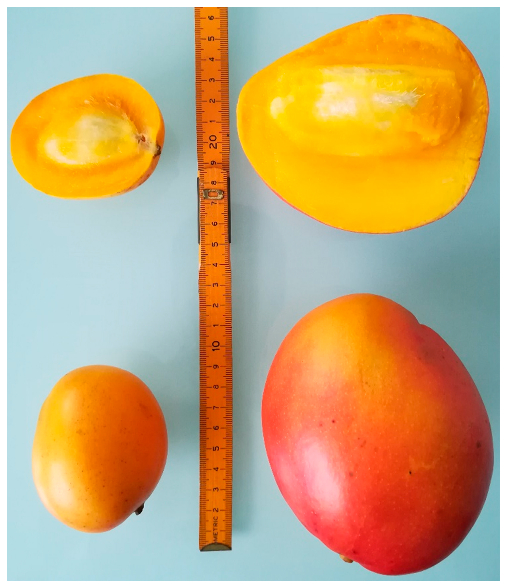 Antioxidants 08 00041 g001 Antioxidants 08 00041 g001