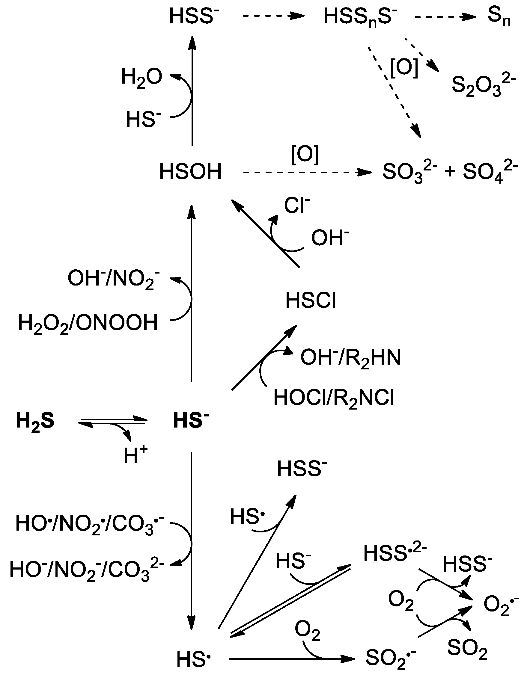 Antioxidants 08 00048 sch001