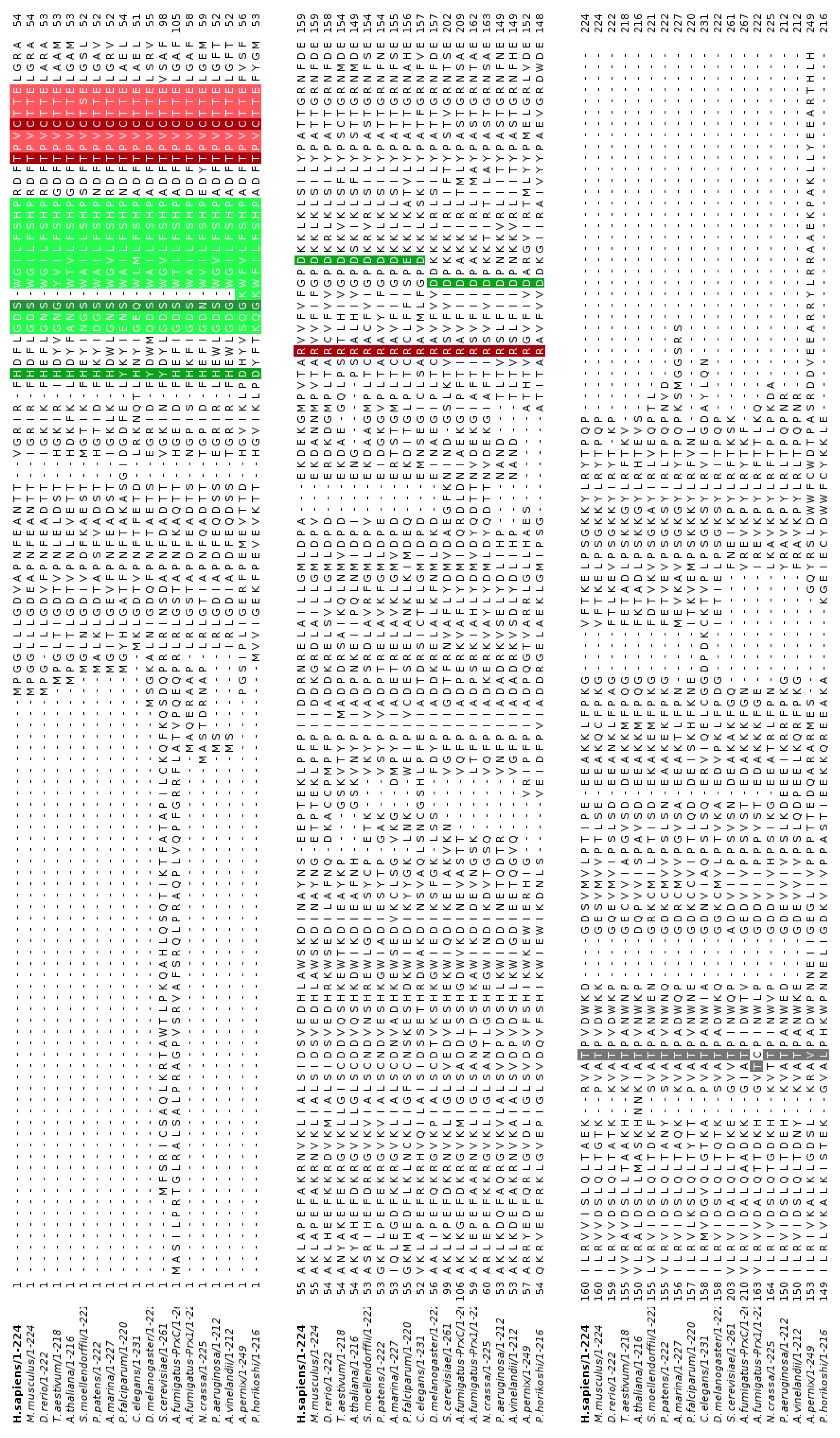 Antioxidants 08 00052 g001