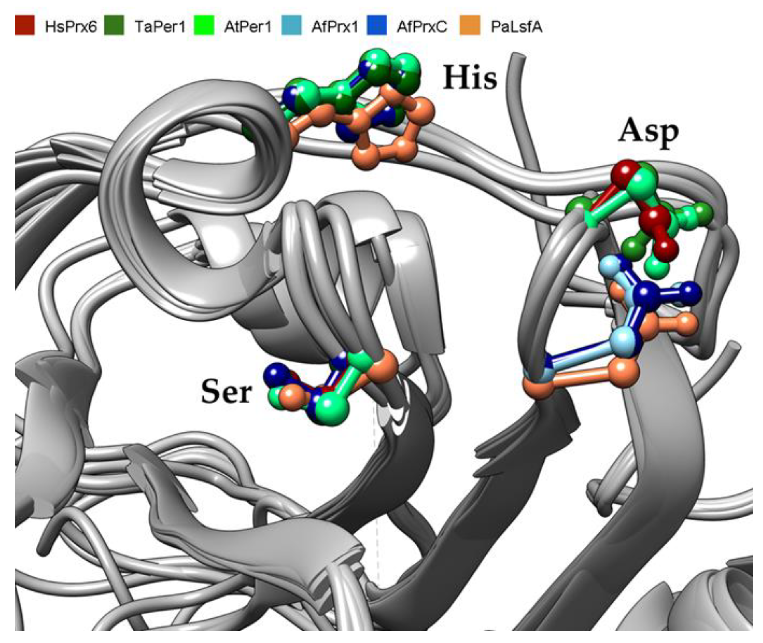 Antioxidants 08 00052 g004