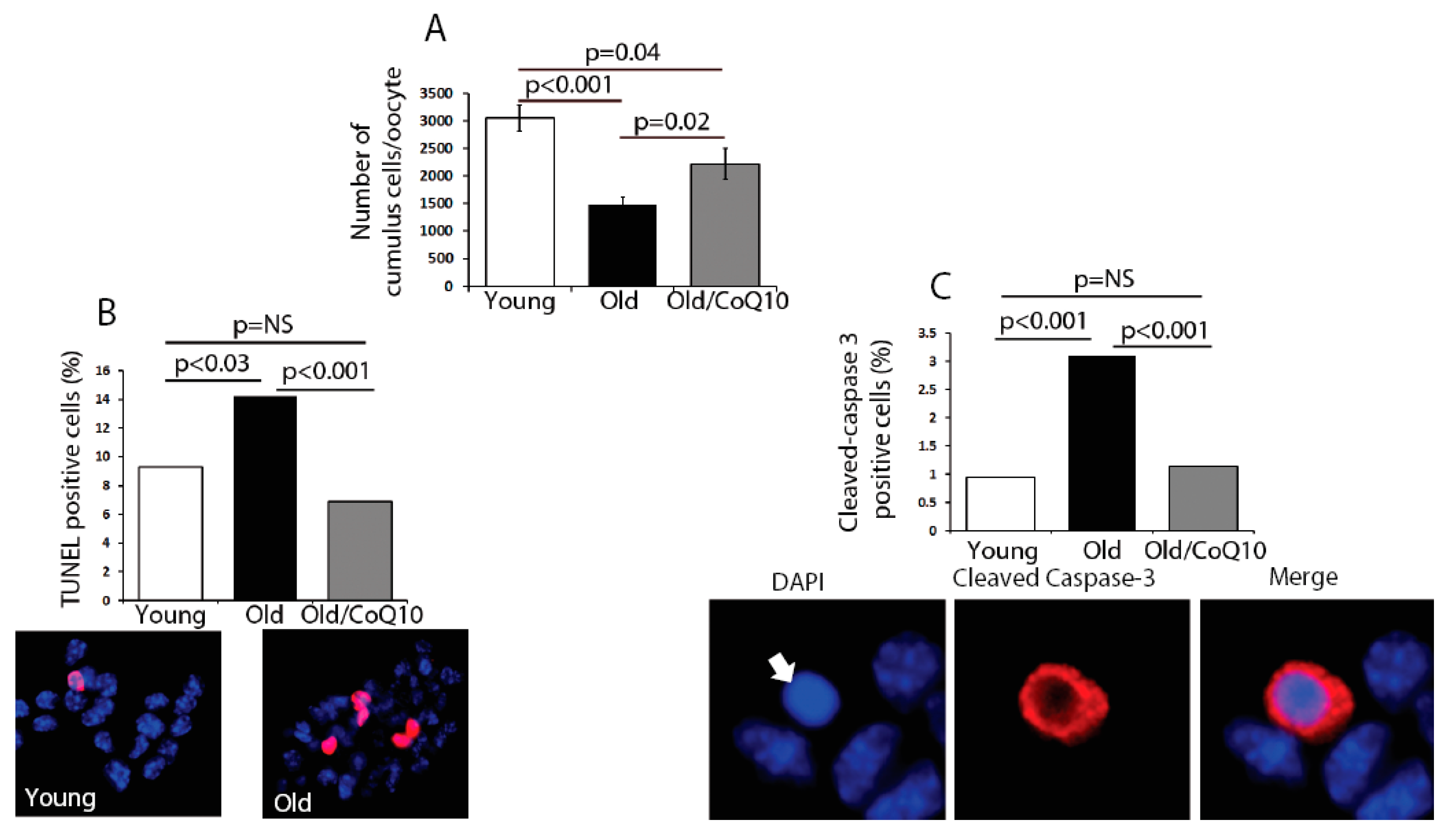 Antioxidants 08 00058 g002