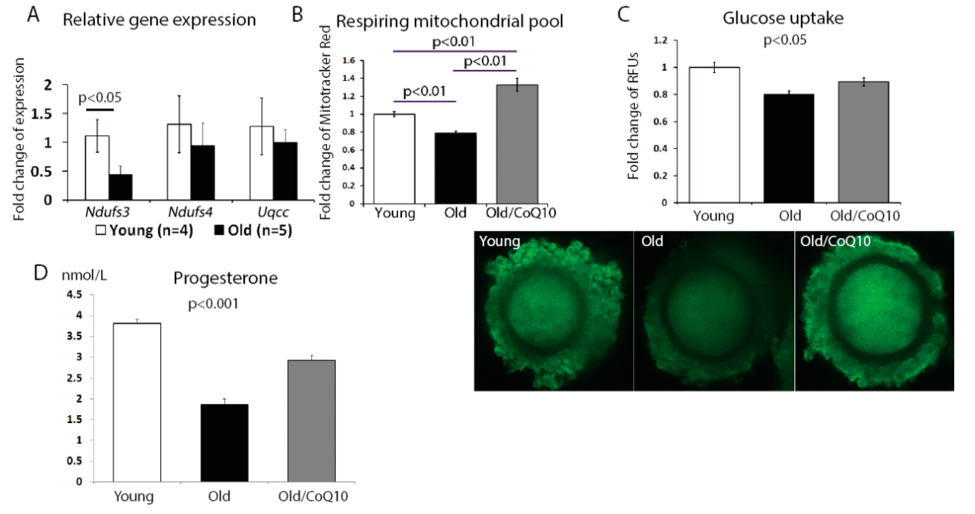 Antioxidants 08 00058 g003