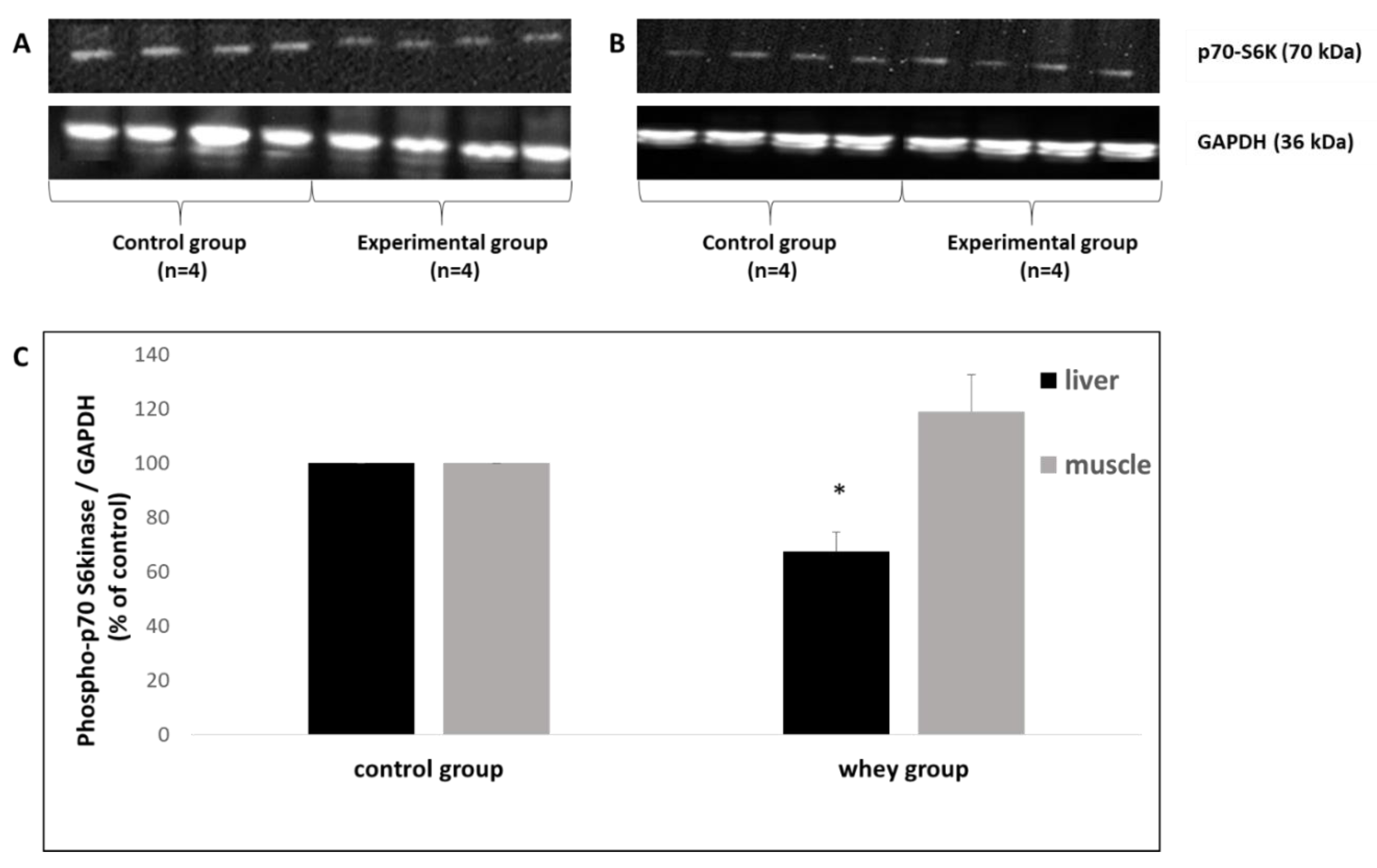 Antioxidants 08 00071 g004 Antioxidants 08 00071 g004