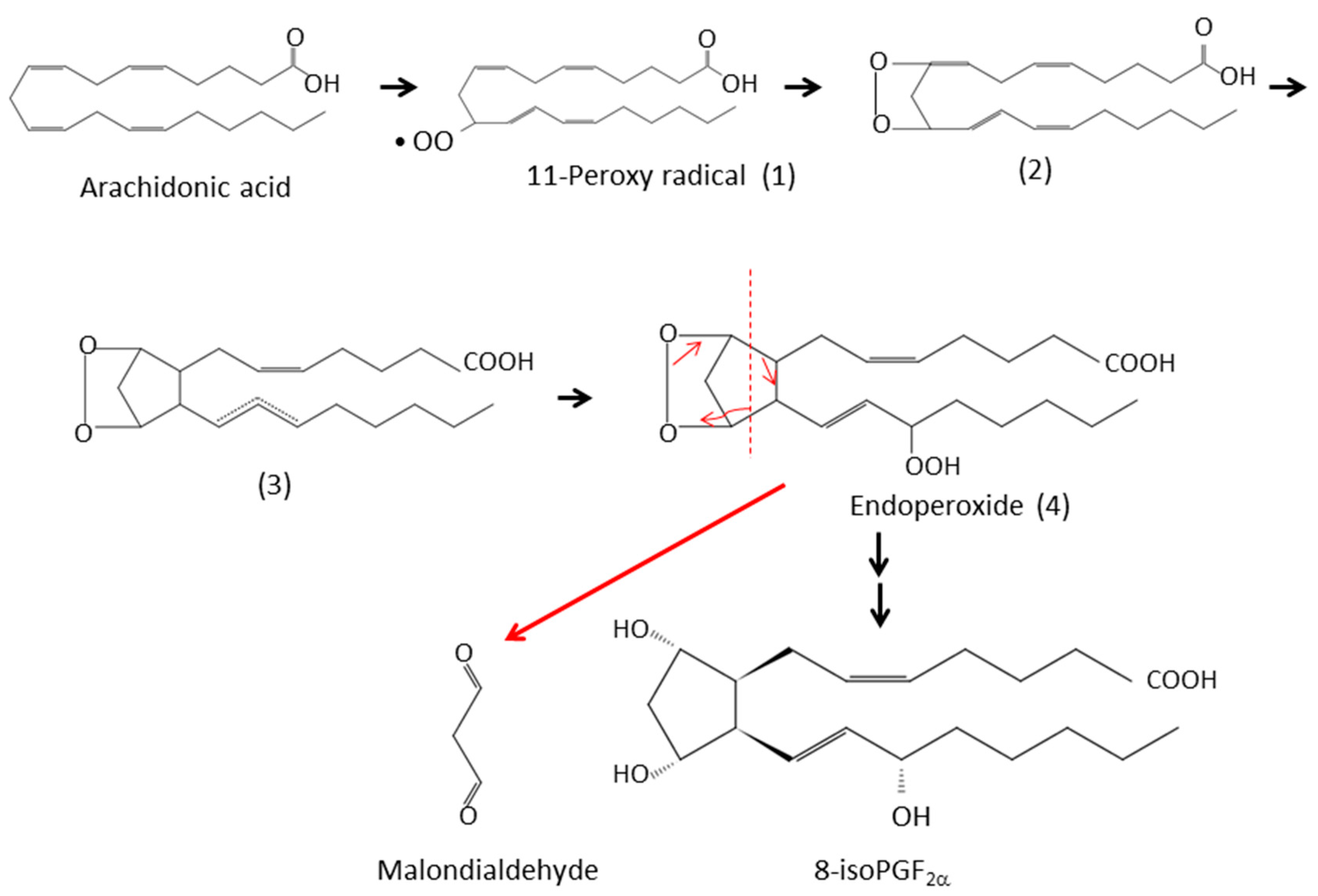 Antioxidants 08 00072 g003 Antioxidants 08 00072 g003