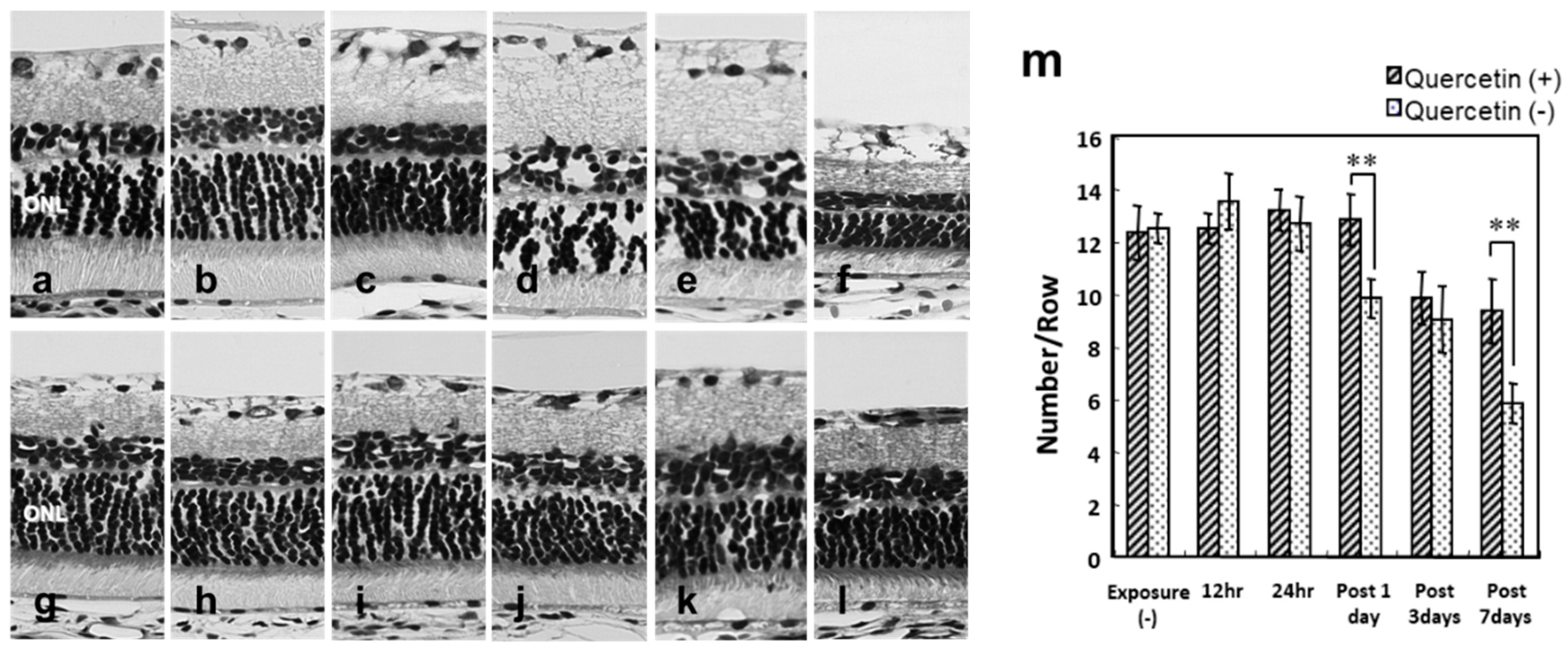 Antioxidants 08 00079 g002