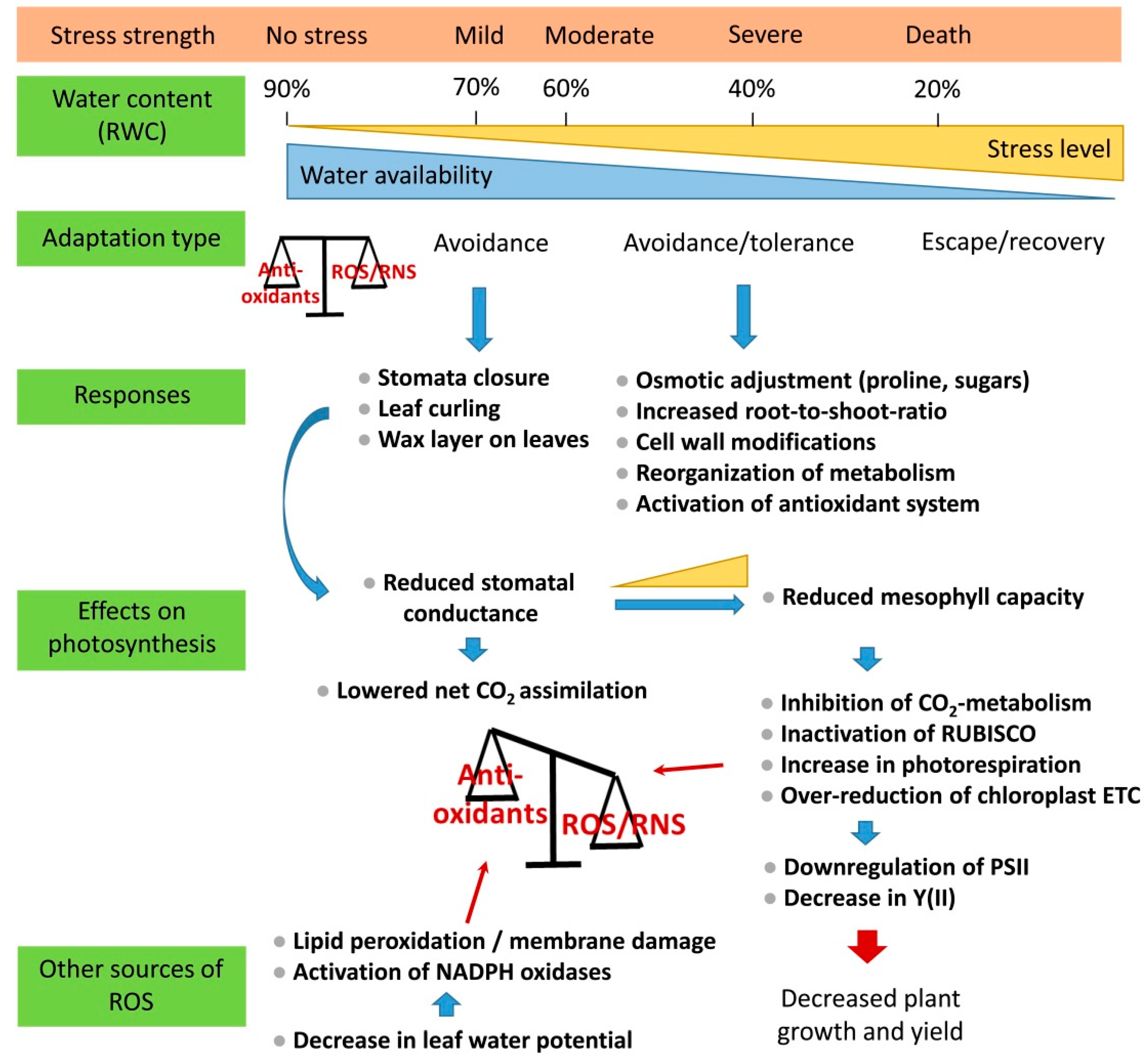 Antioxidants 08 00094 g001 550