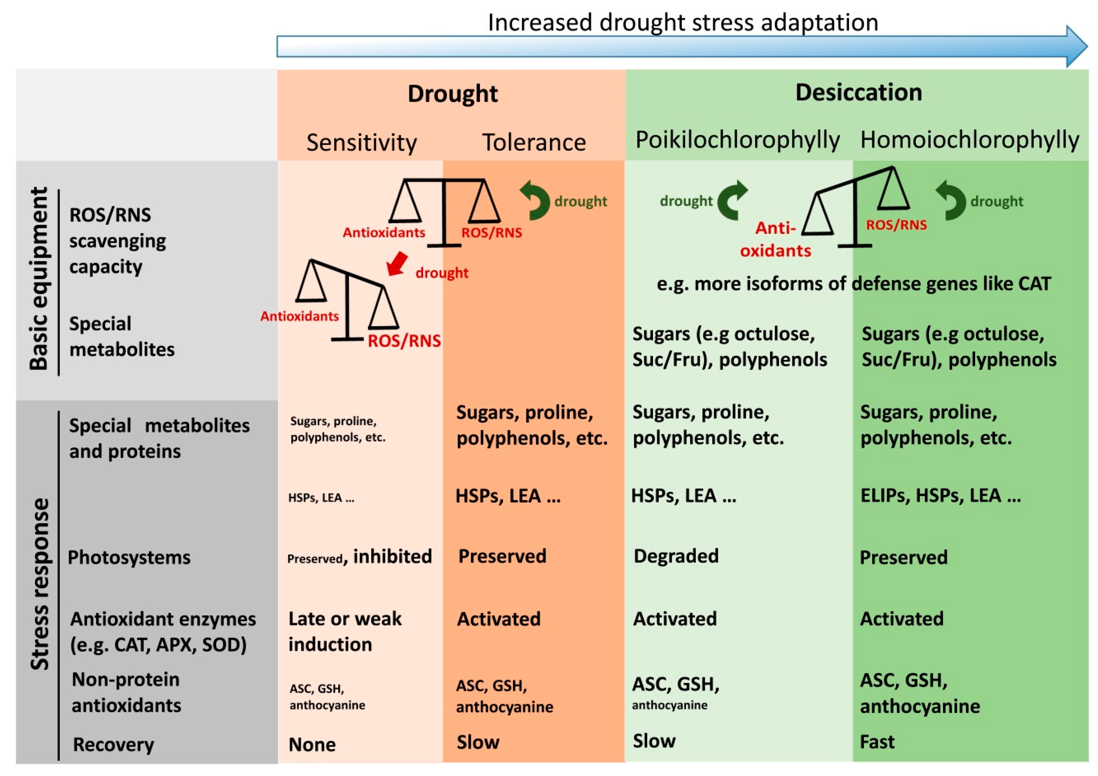 Antioxidants 08 00094 g002 550