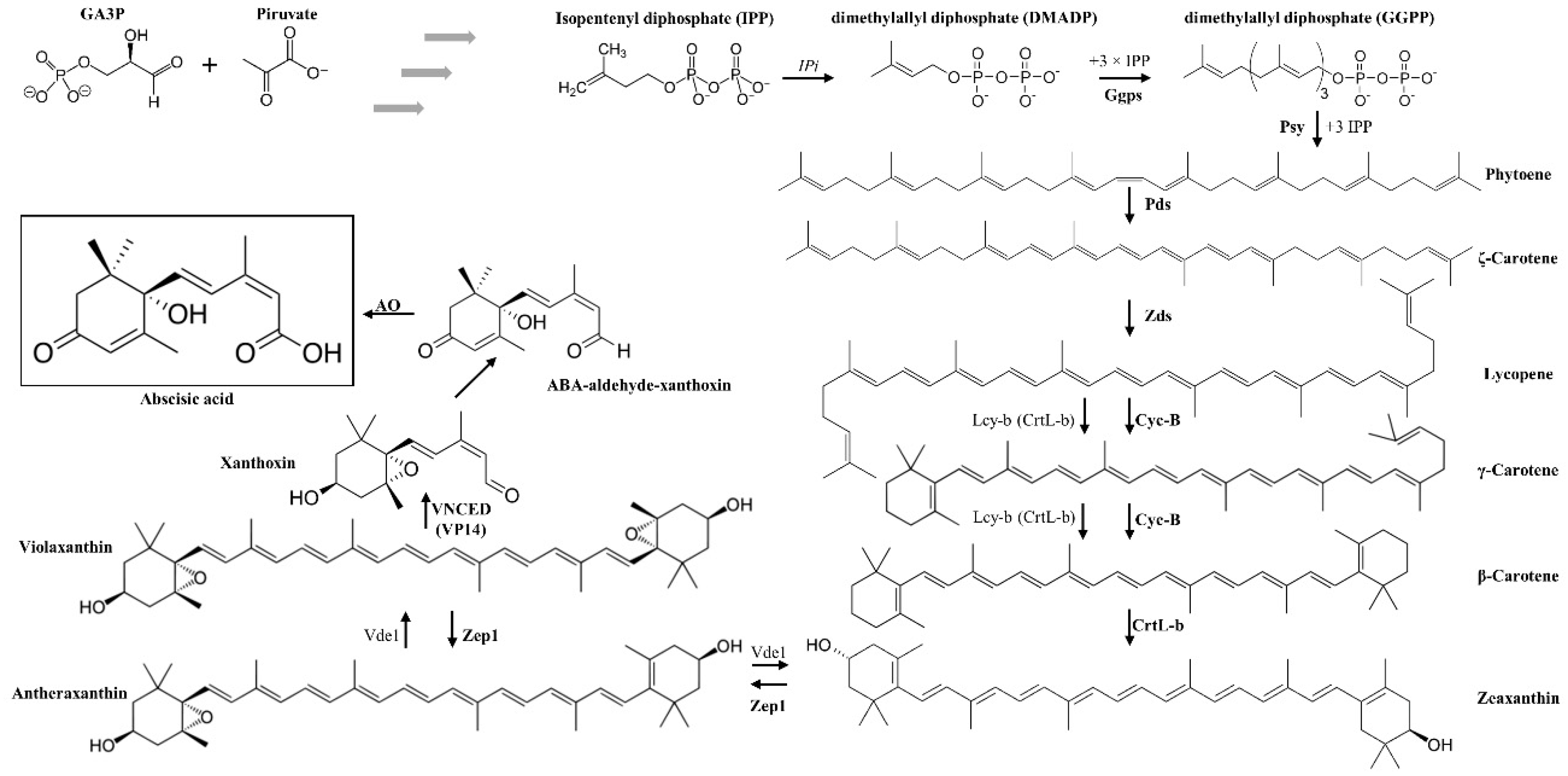 Antioxidants 08 00104 g001