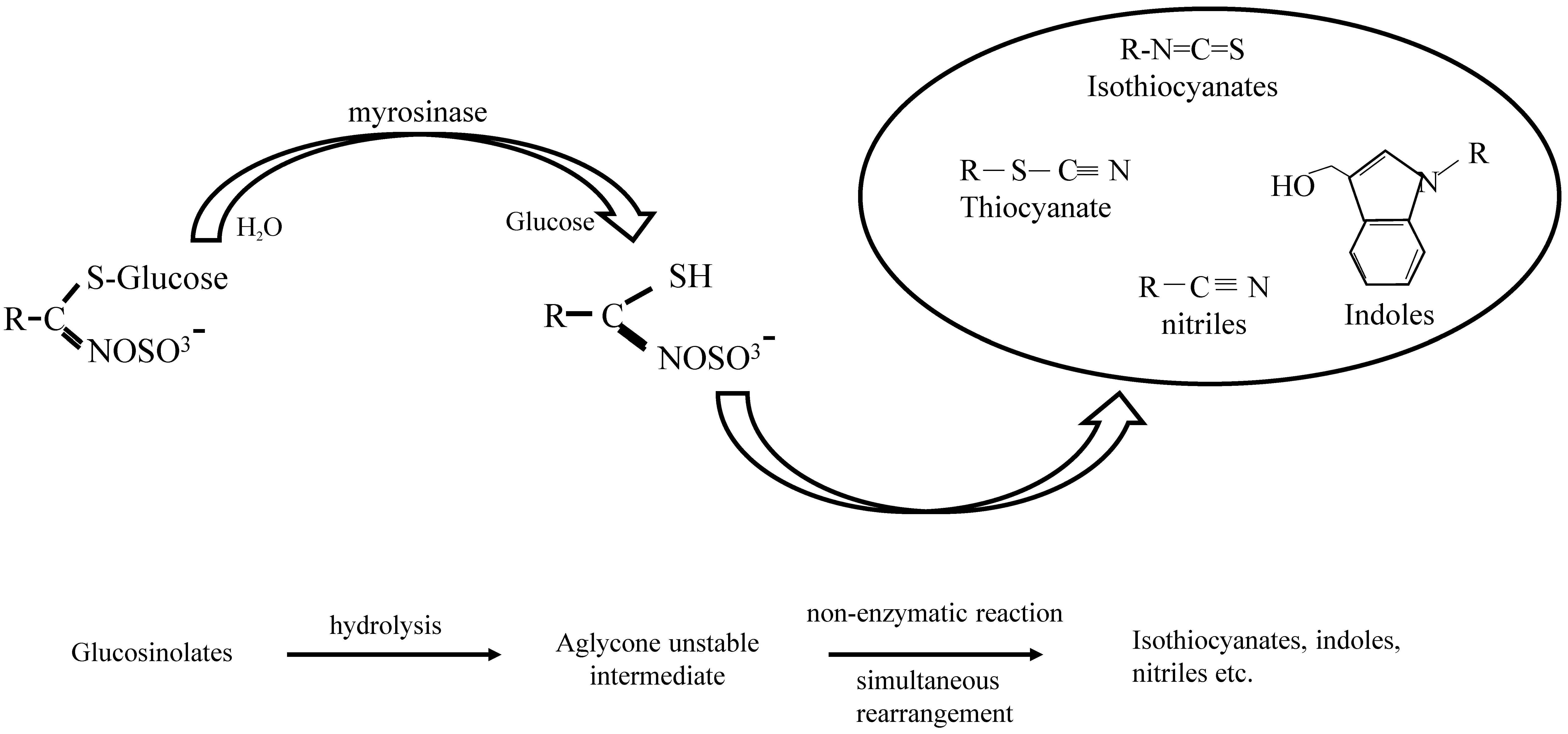 Antioxidants 08 00106 g002