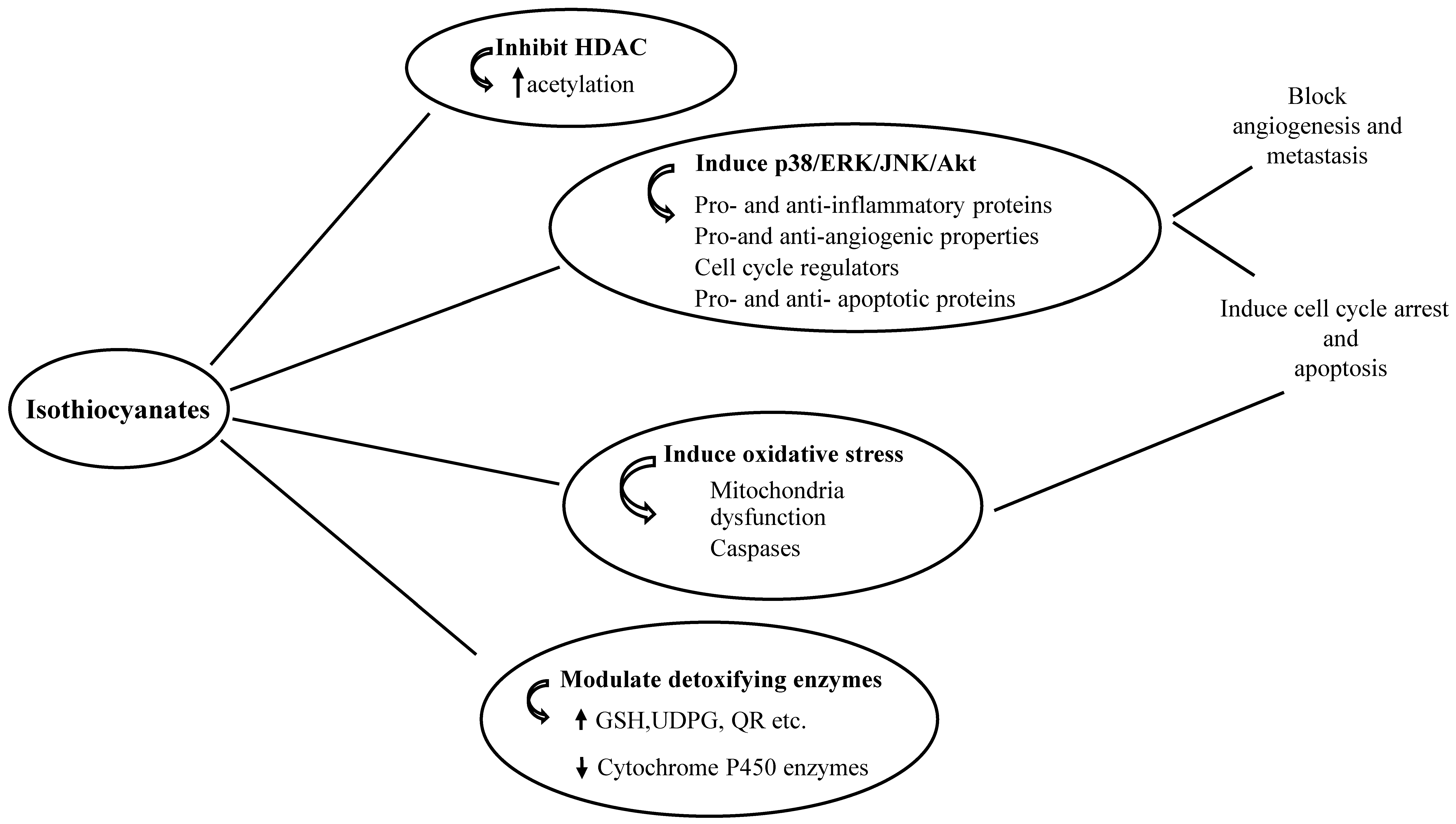 Antioxidants 08 00106 g003