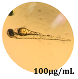 Antioxidants 08 00108 i001