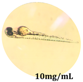 Antioxidants 08 00108 i006