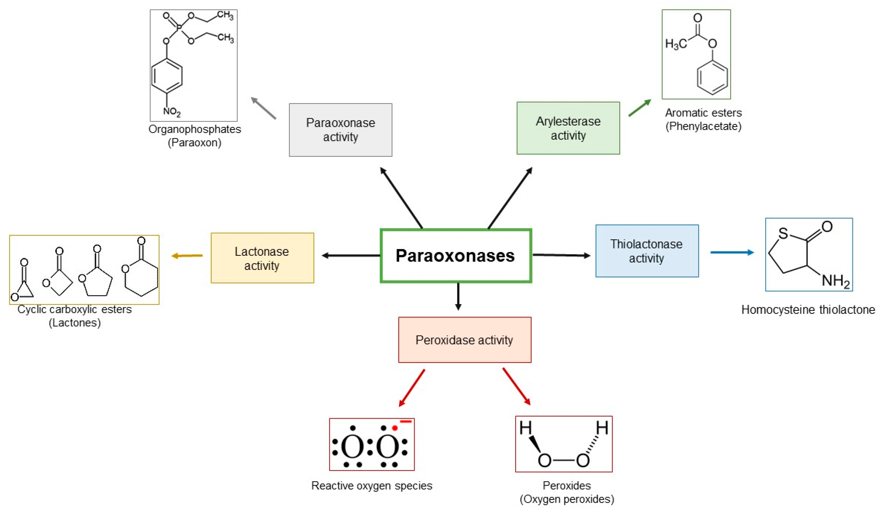 Antioxidants 08 00118 g001