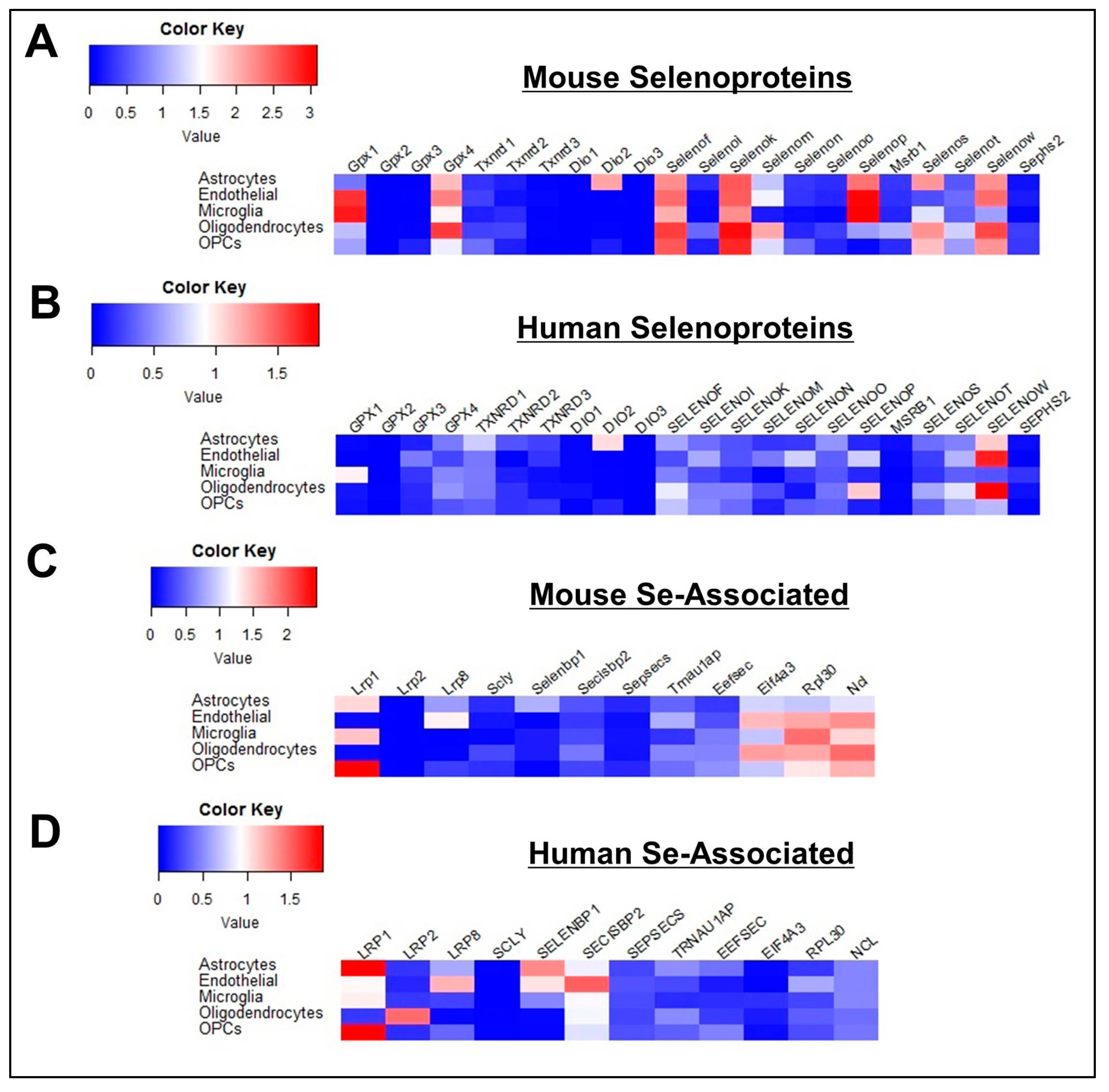 Antioxidants 08 00120 g002