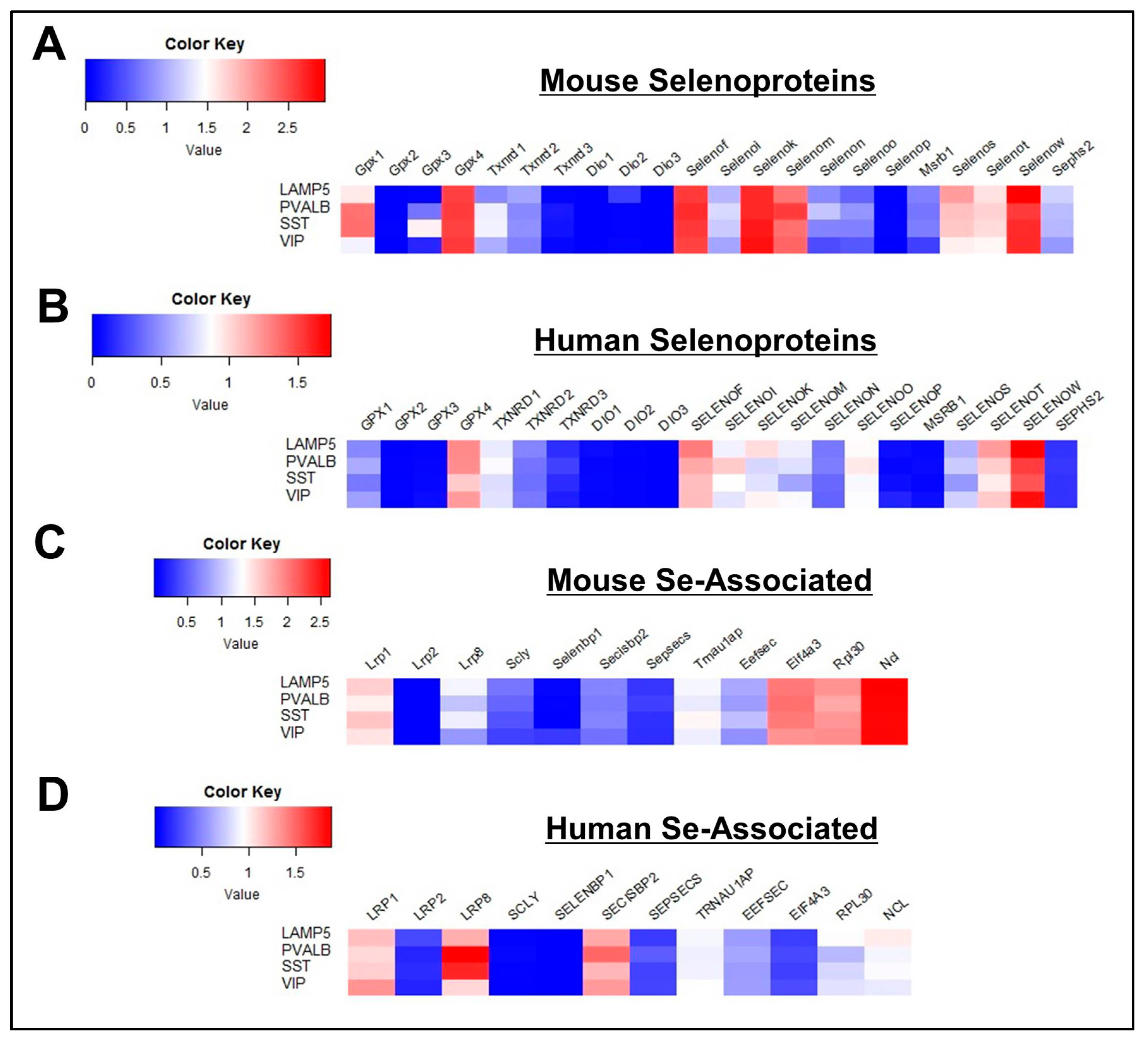 Antioxidants 08 00120 g006
