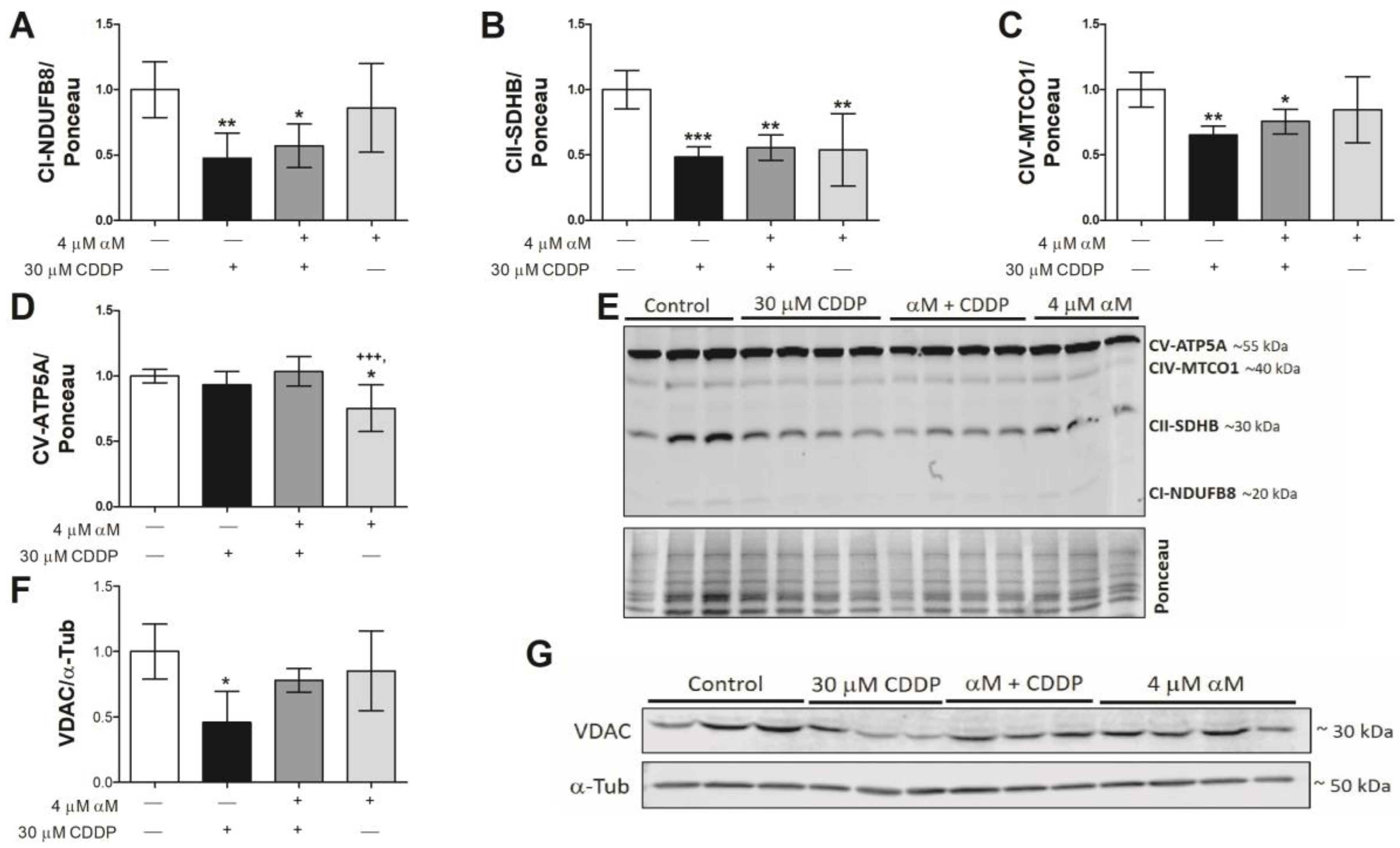 Antioxidants 08 00133 g005