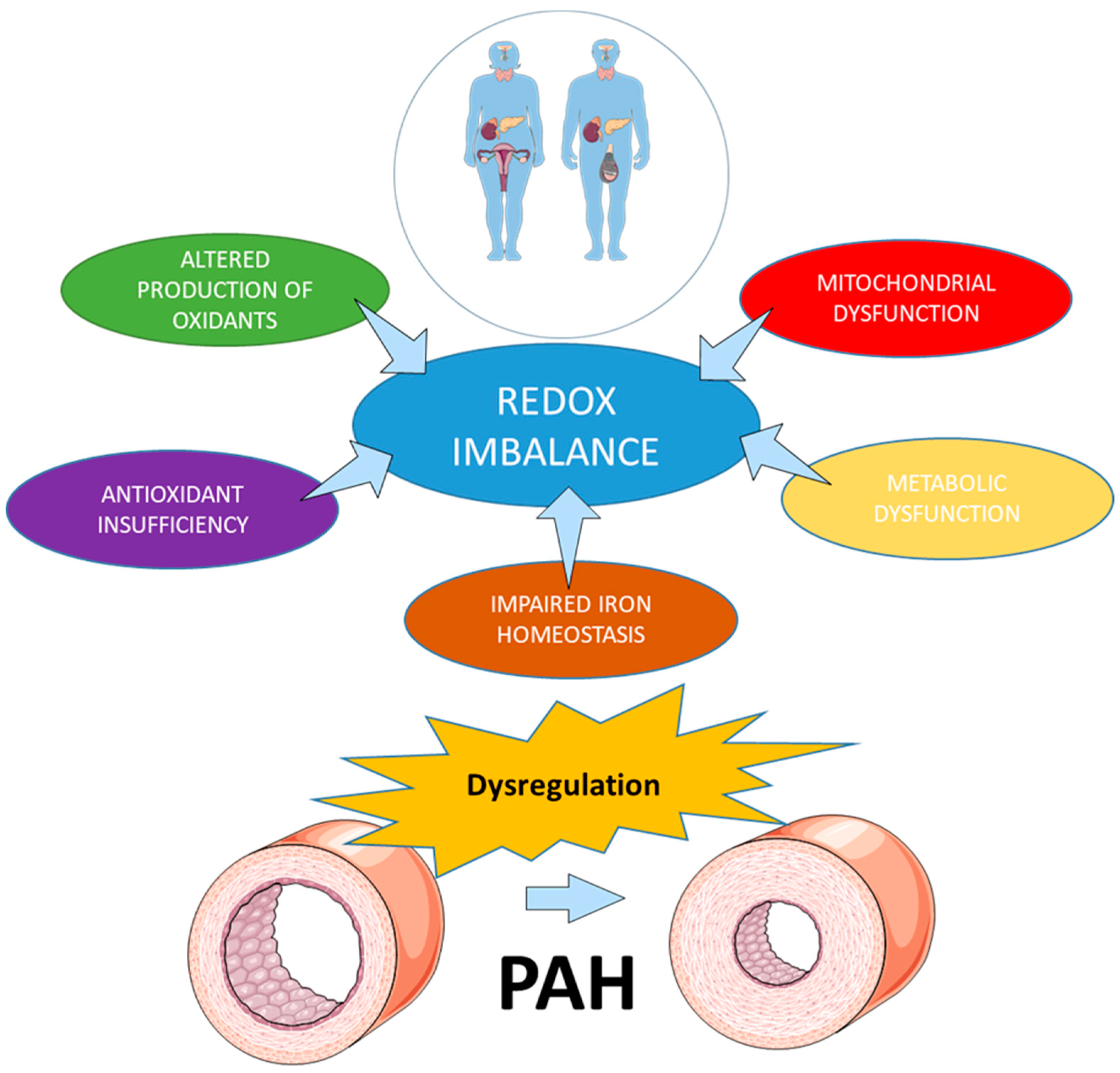 Antioxidants 08 00135 g001