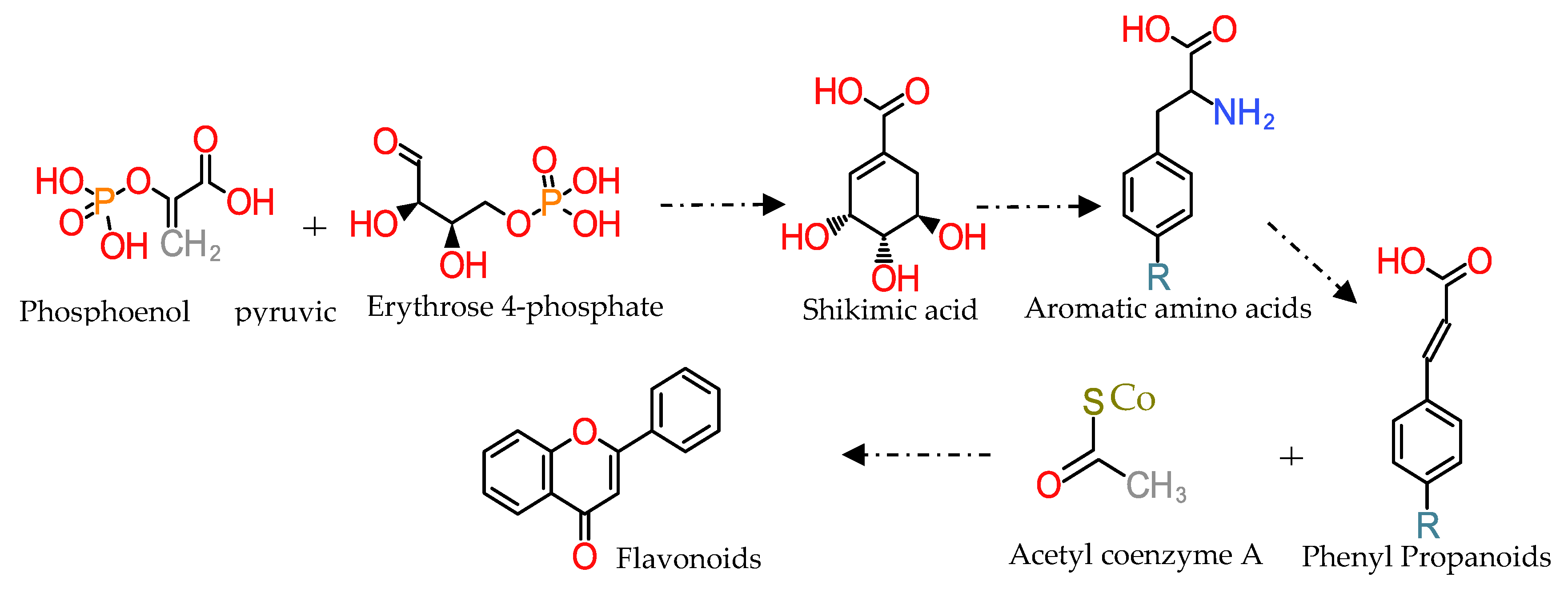 Antioxidants 08 00137 g001