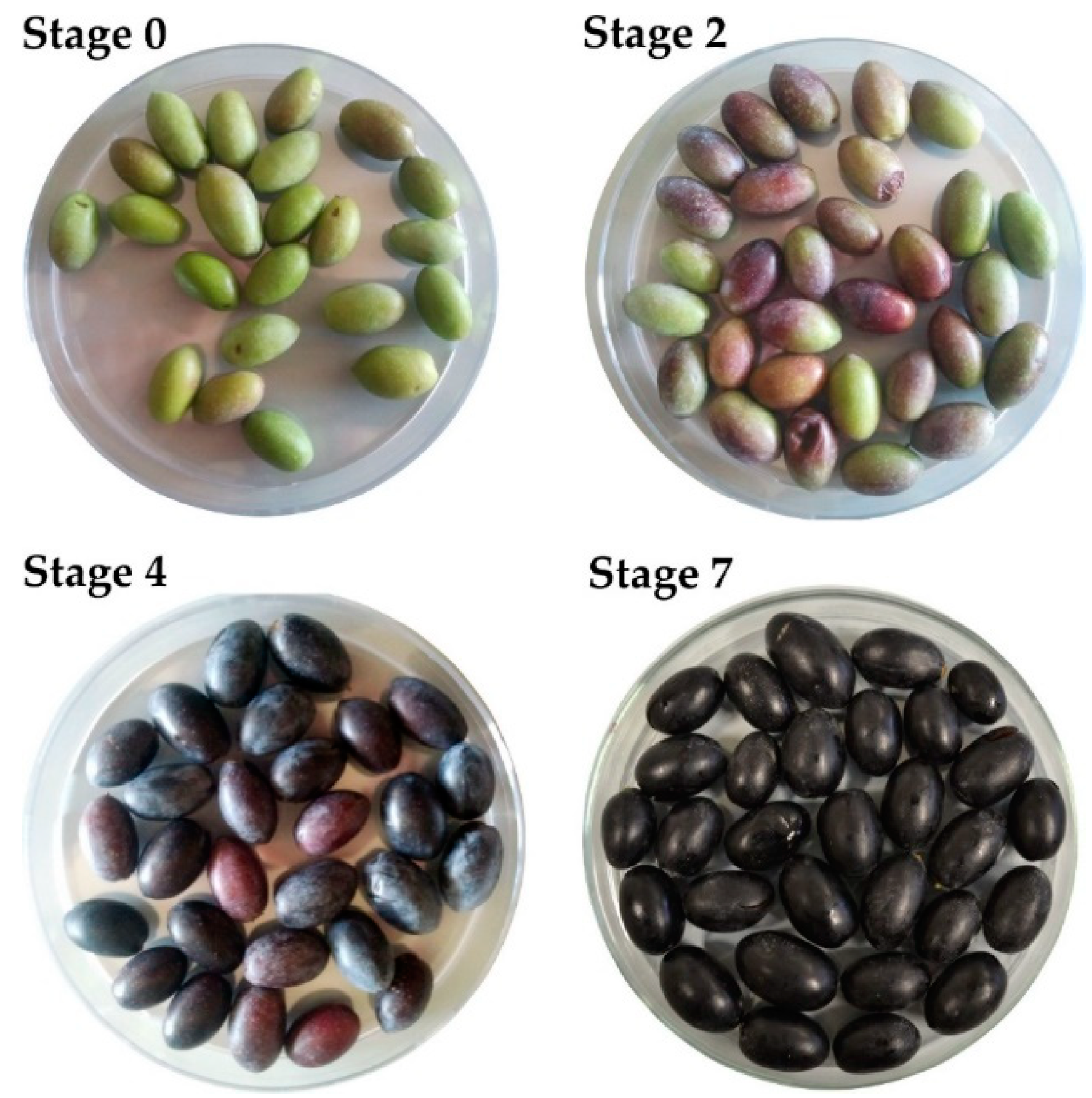 Antioxidants 08 00138 g001 Antioxidants 08 00138 g001